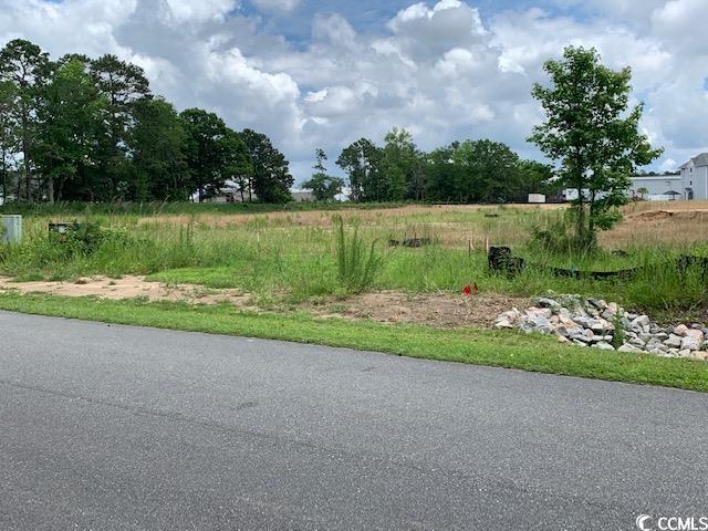 98 Wildwood St., Shallotte, North Carolina image 1
