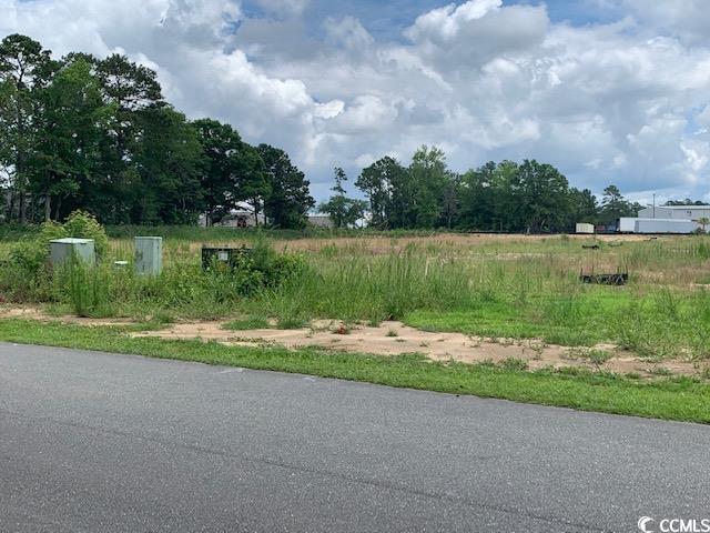 98 Wildwood St., Shallotte, North Carolina image 2
