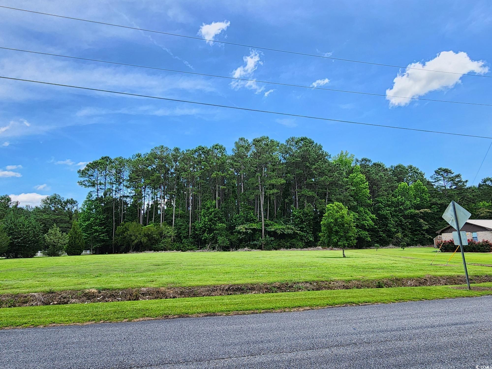 2950 Avant Ln., Conway, South Carolina image 10