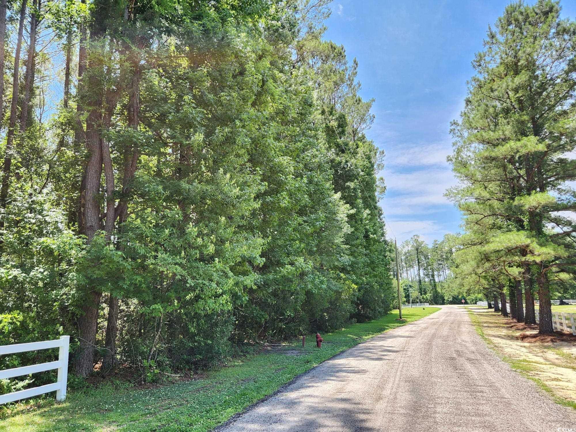 2950 Avant Ln., Conway, South Carolina image 5