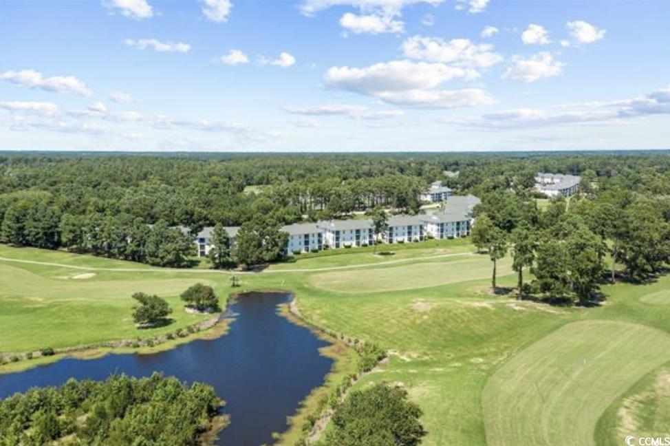 556 White River Dr. #44F, Myrtle Beach, South Carolina image 10