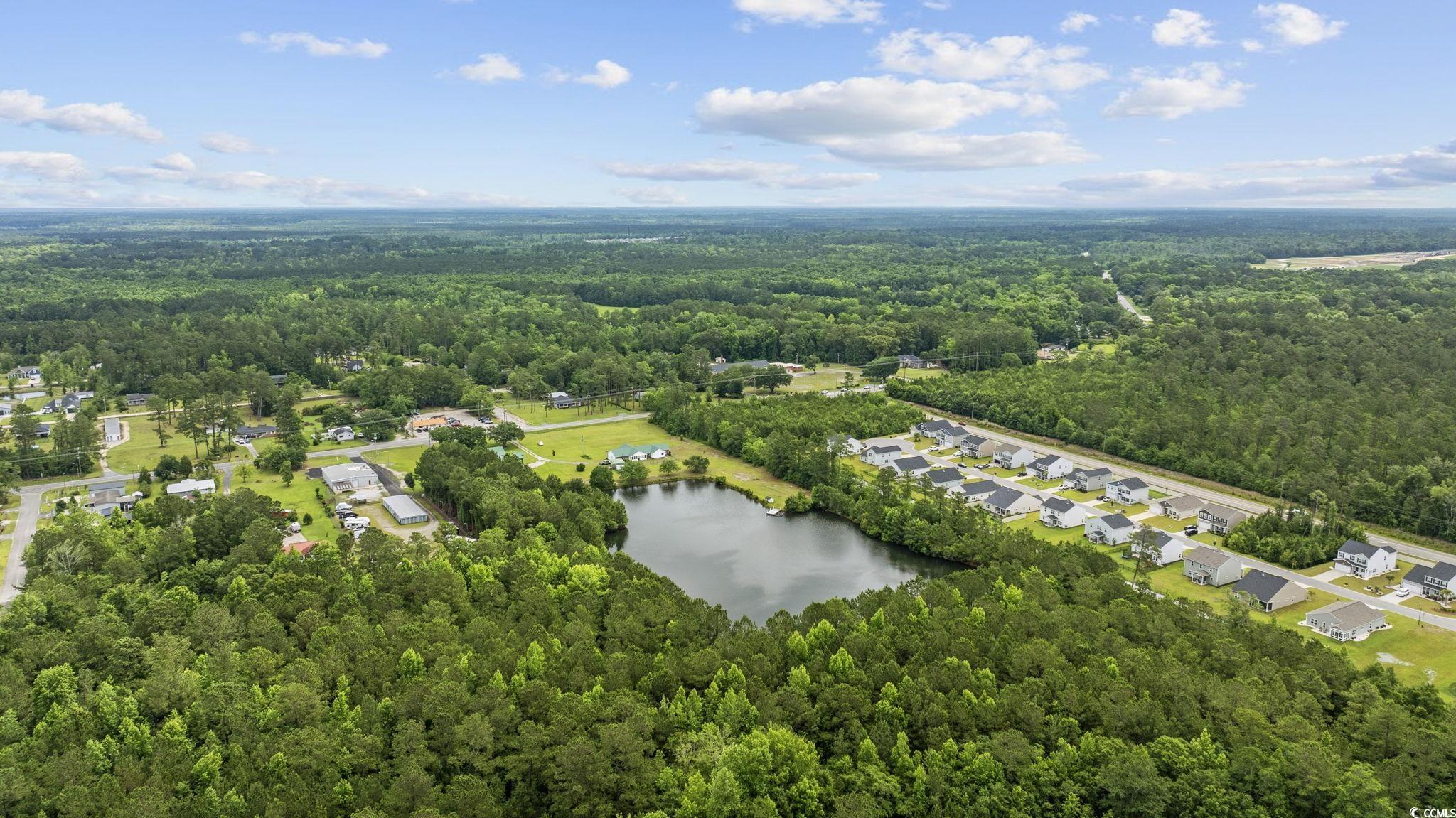 1342 Highway 90, Conway, South Carolina image 38