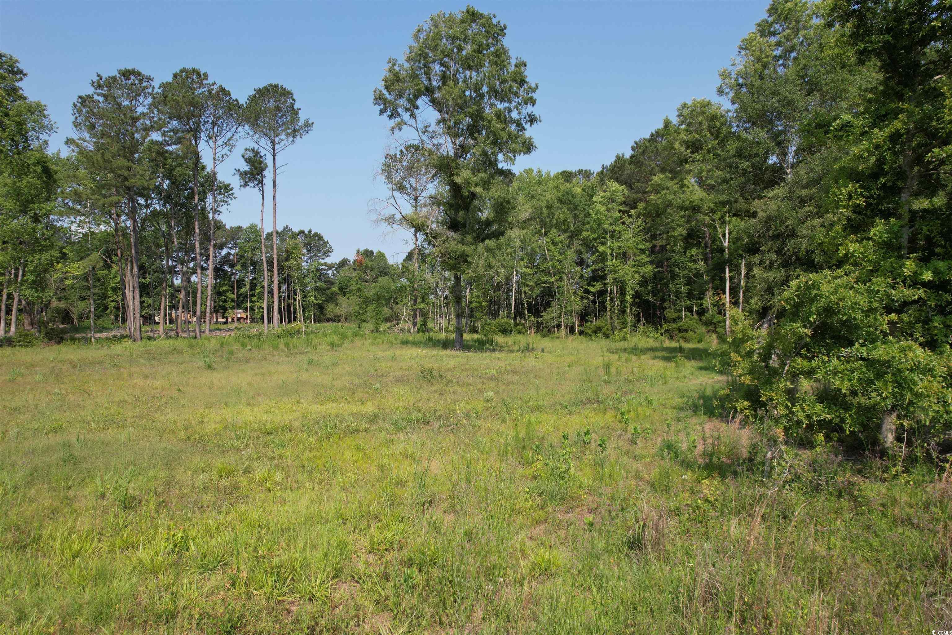 TBD Samuels Ave, Salters, South Carolina image 1
