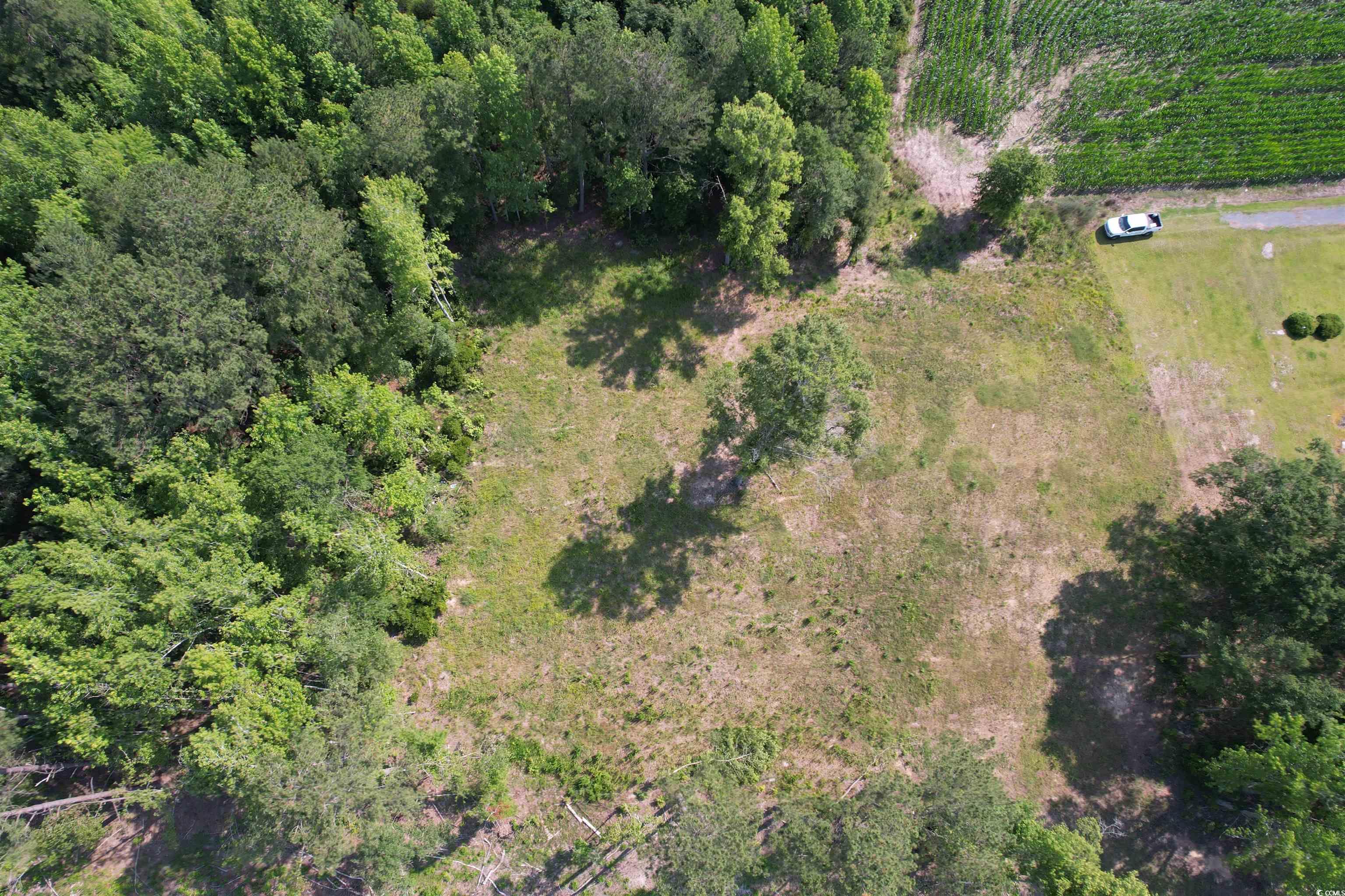 TBD Samuels Ave, Salters, South Carolina image 3