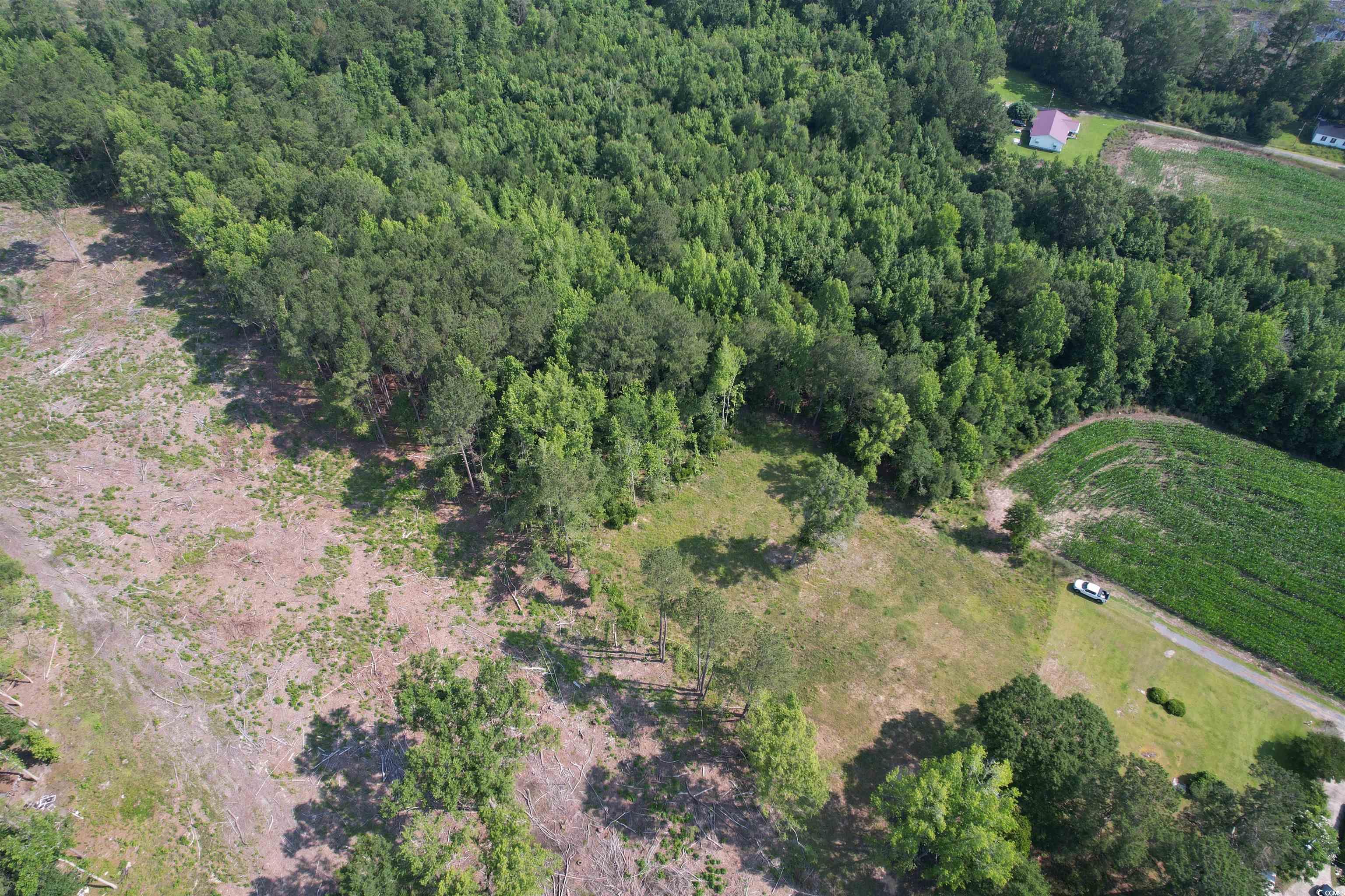 TBD Samuels Ave, Salters, South Carolina image 4