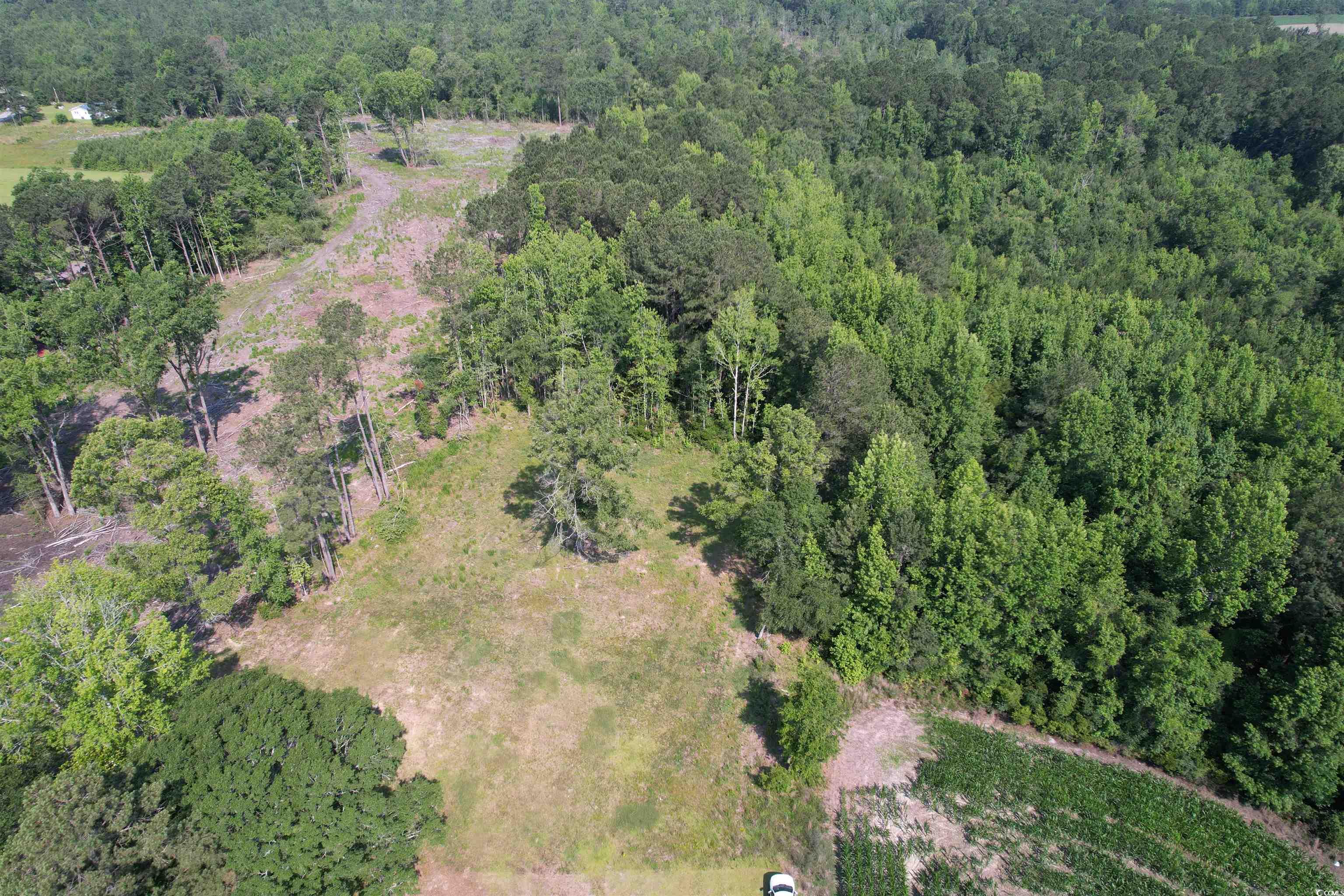 TBD Samuels Ave, Salters, South Carolina image 5