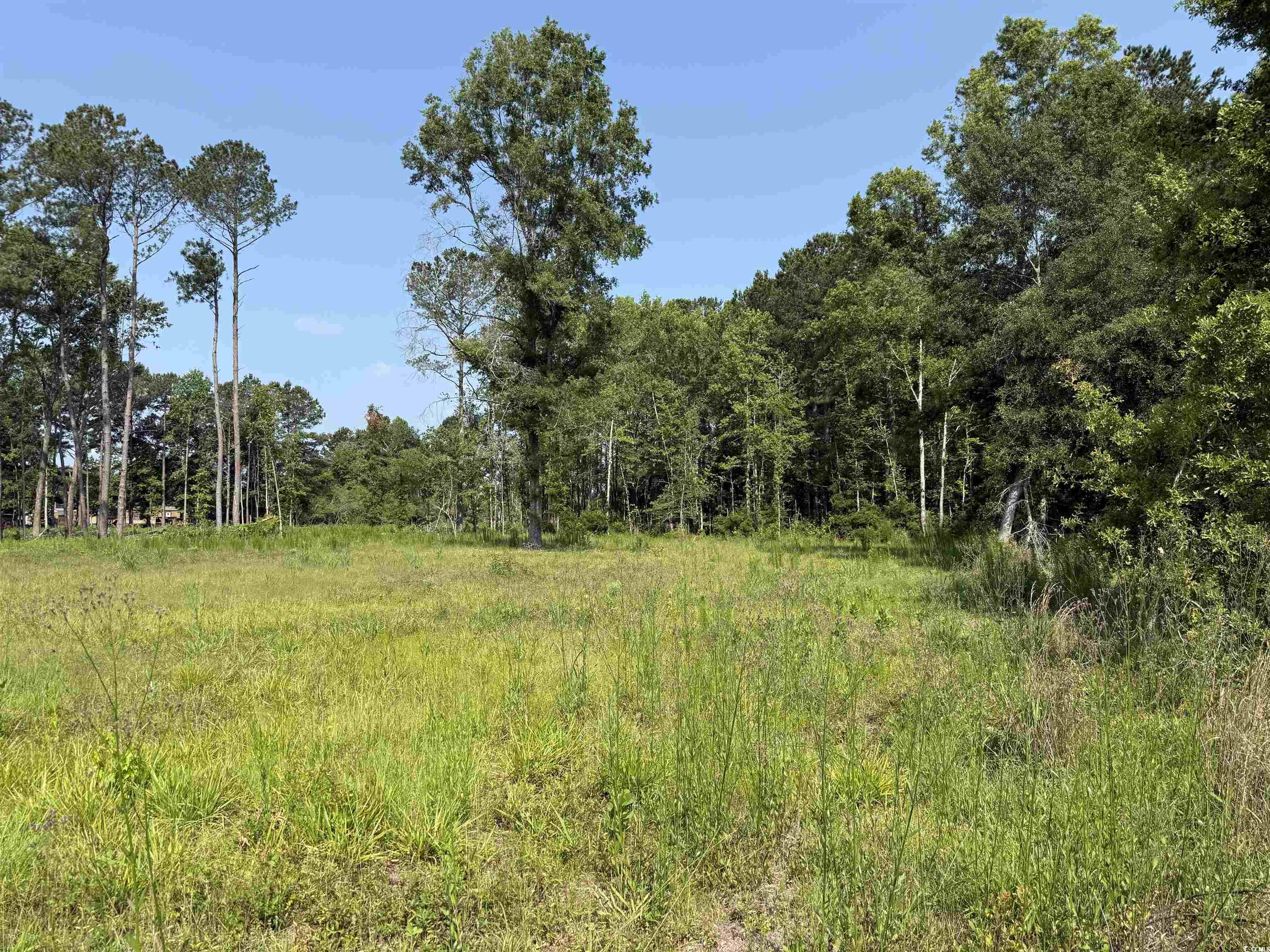 TBD Samuels Ave, Salters, South Carolina image 6