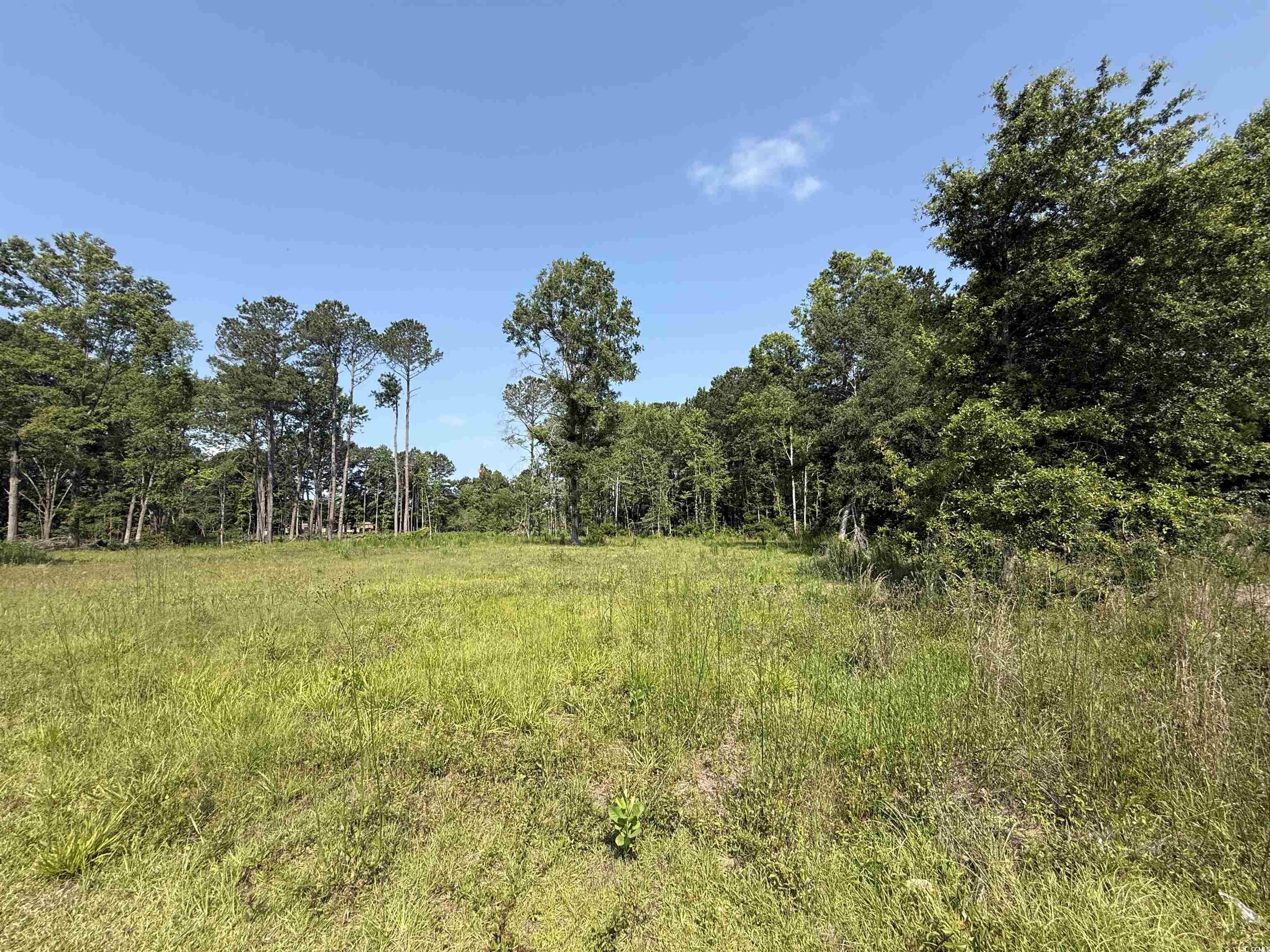 TBD Samuels Ave, Salters, South Carolina image 7
