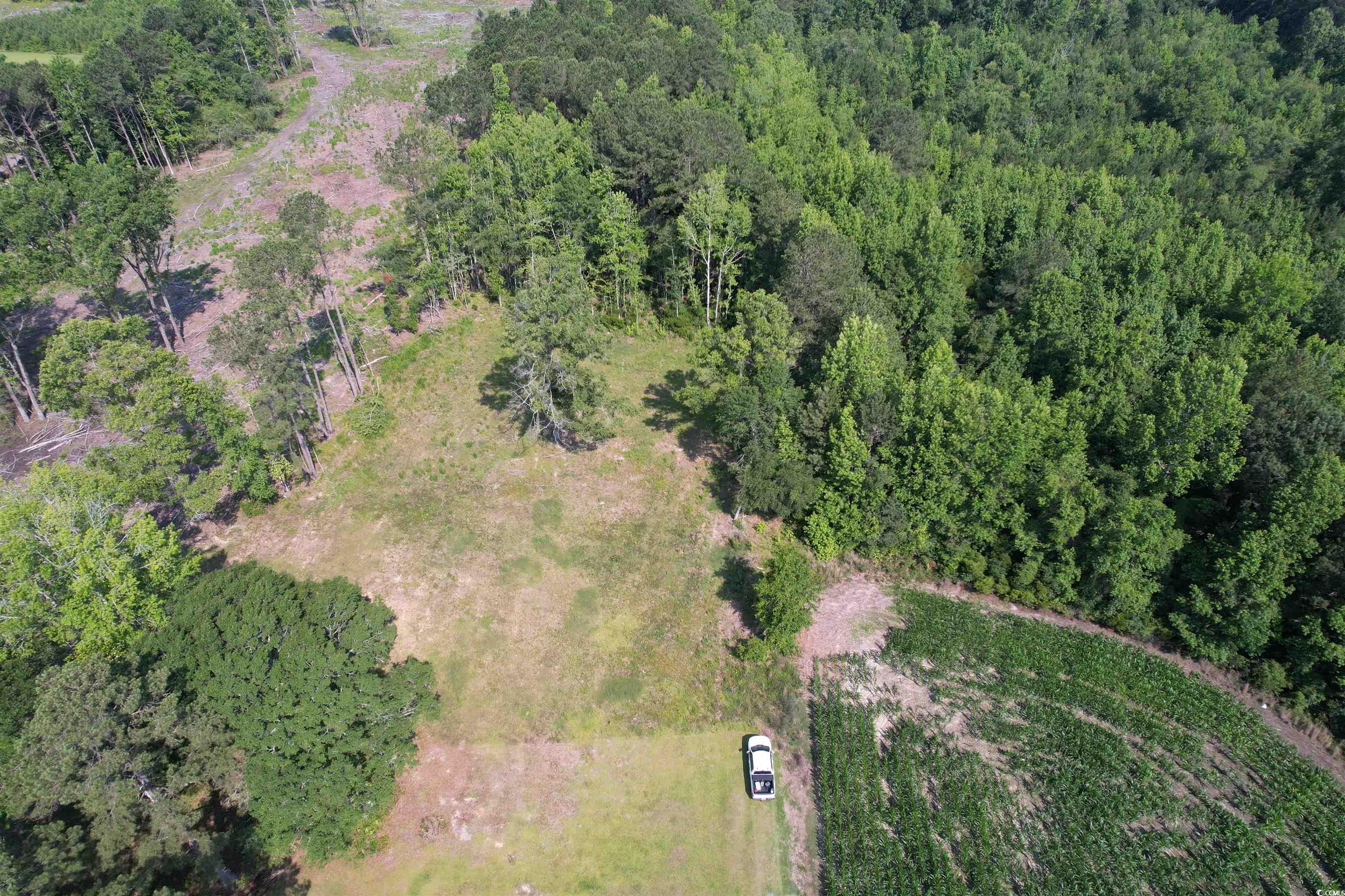 TBD Samuels Ave, Salters, South Carolina image 9