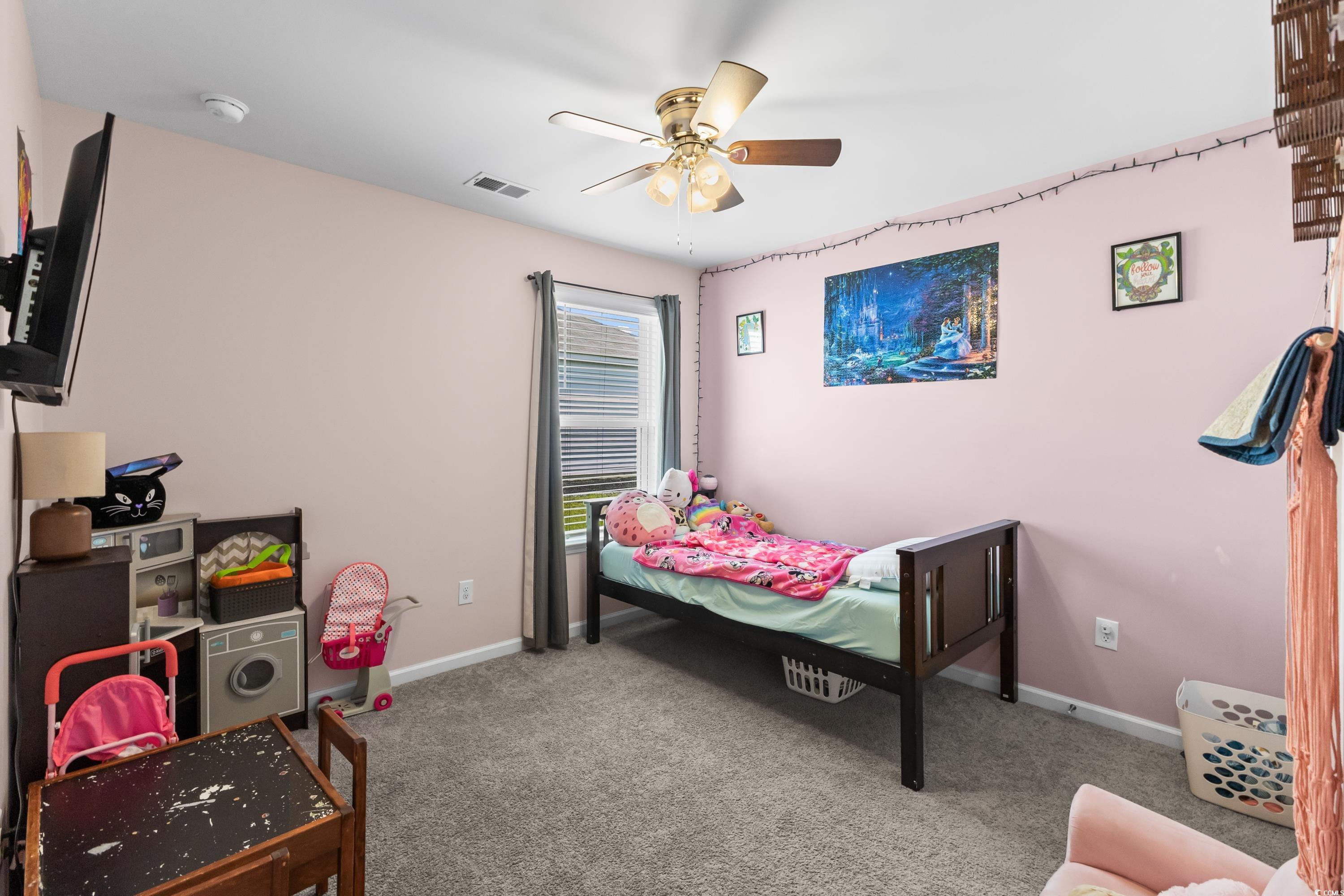 115 Spring Wheat Way, Conway, South Carolina image 21