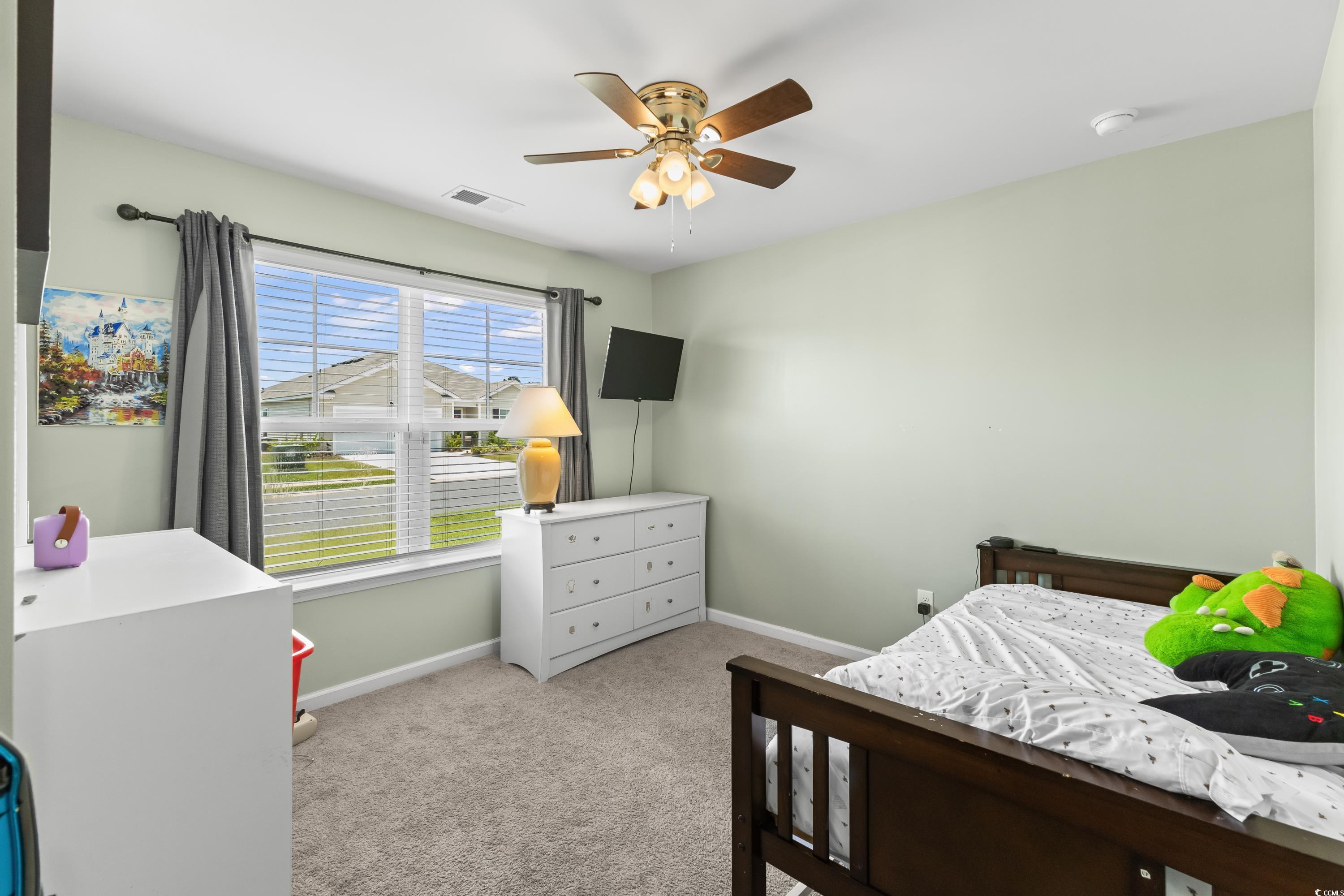 115 Spring Wheat Way, Conway, South Carolina image 22
