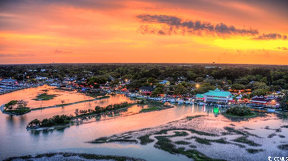 5074 Cowart Ct., Murrells Inlet, South Carolina image 40