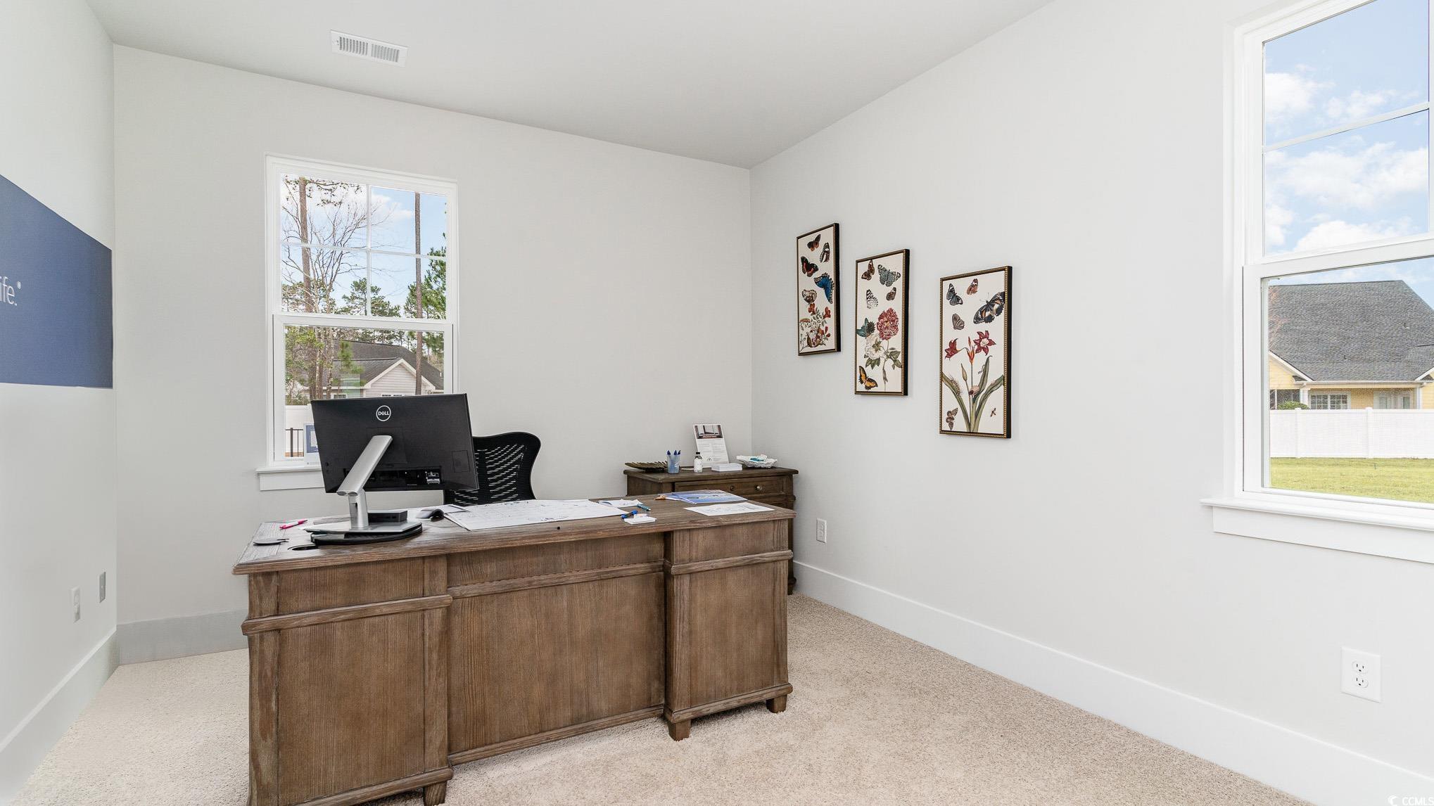 506 Haven View Way, Murrells Inlet, South Carolina image 30