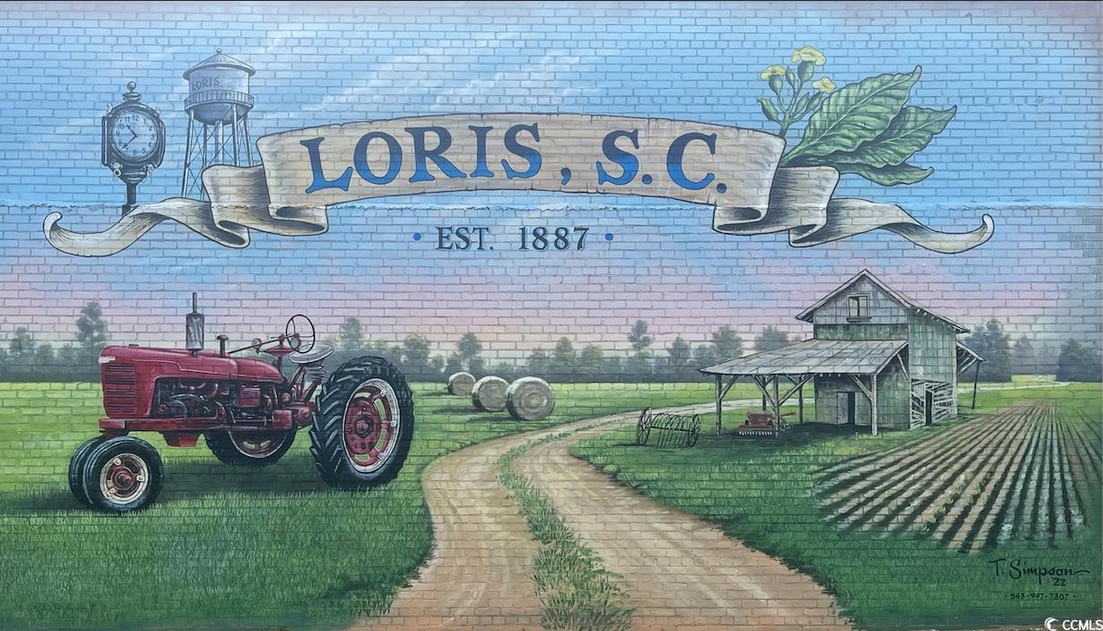 908 Highway 9 Business E, Loris, South Carolina image 5