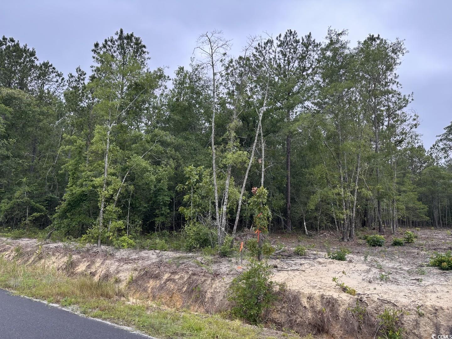 2-A McNabb Rd. Loris, SC 29569