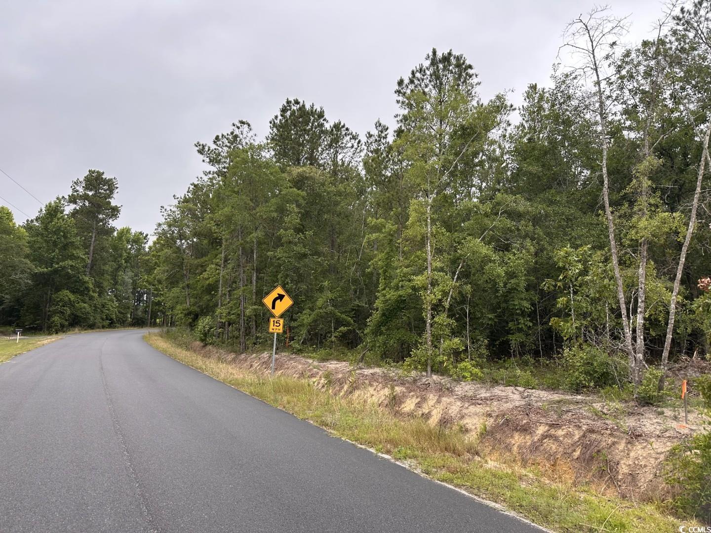 3-A Mcnabb Rd., Loris, South Carolina image 2