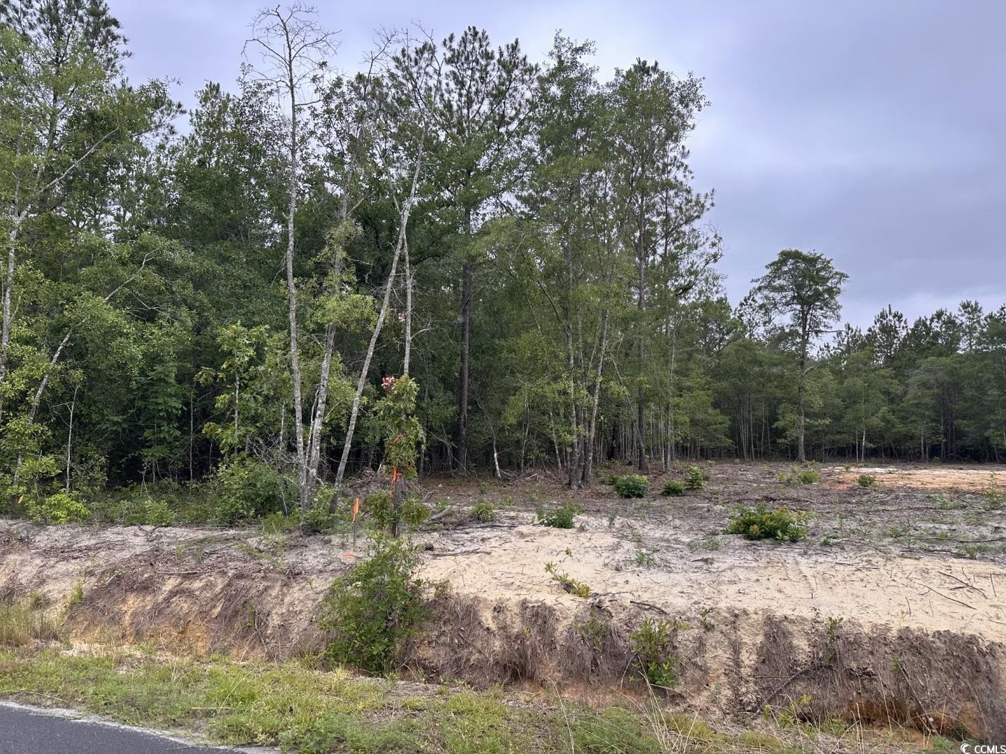 3-A Mcnabb Rd., Loris, South Carolina image 3