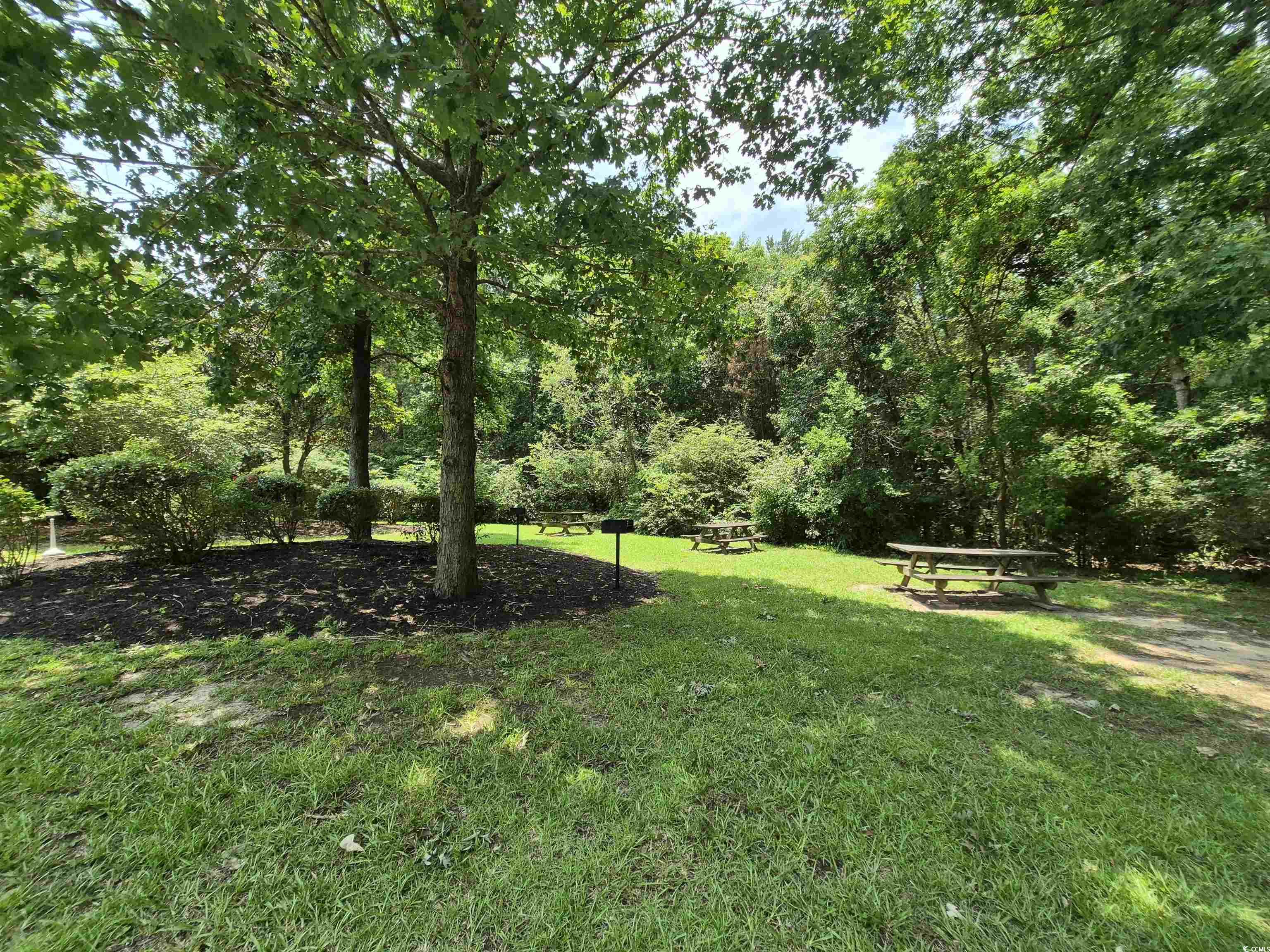 244 Colby Ct., Myrtle Beach, South Carolina image 30