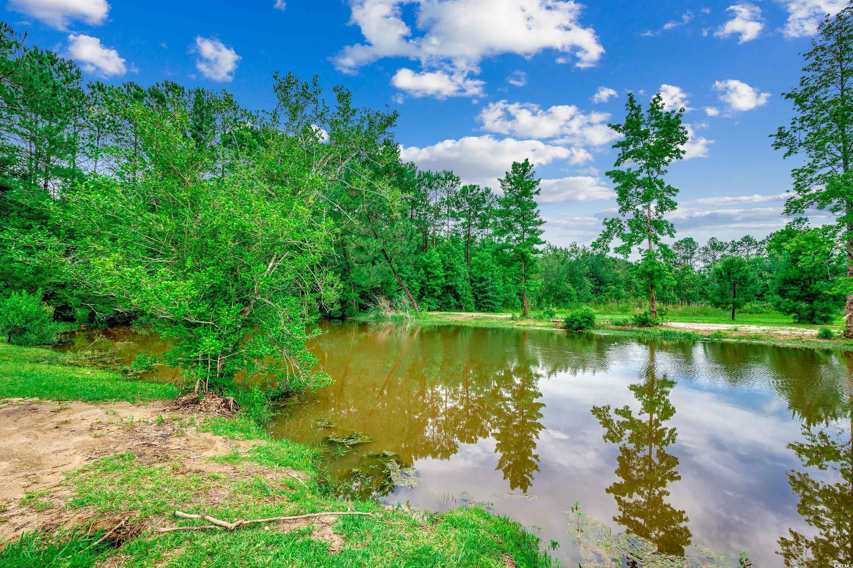 101 Karlie Ln., Aynor, South Carolina image 32