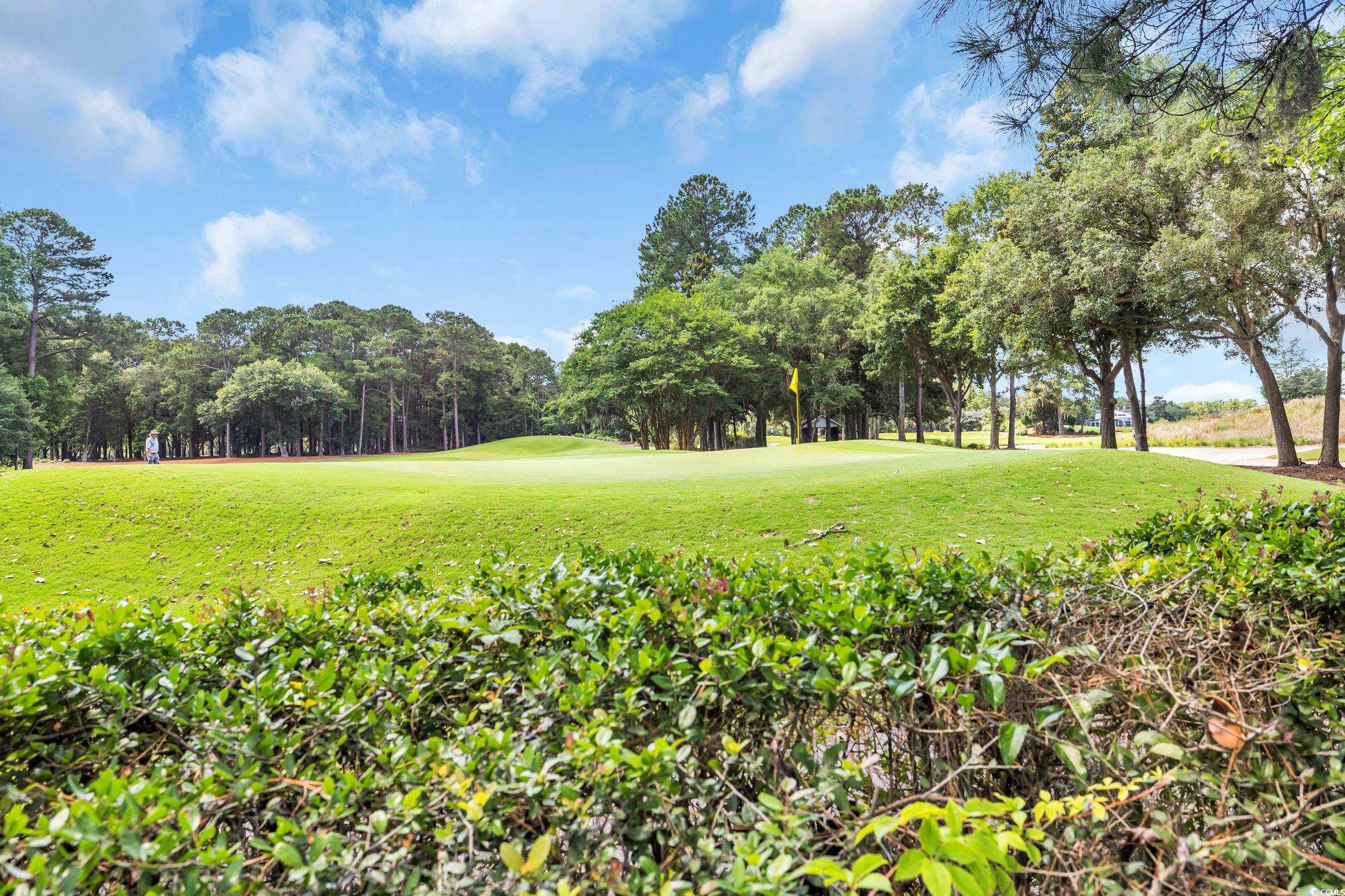 139 Olde Canal Loop, Pawleys Island, South Carolina image 34