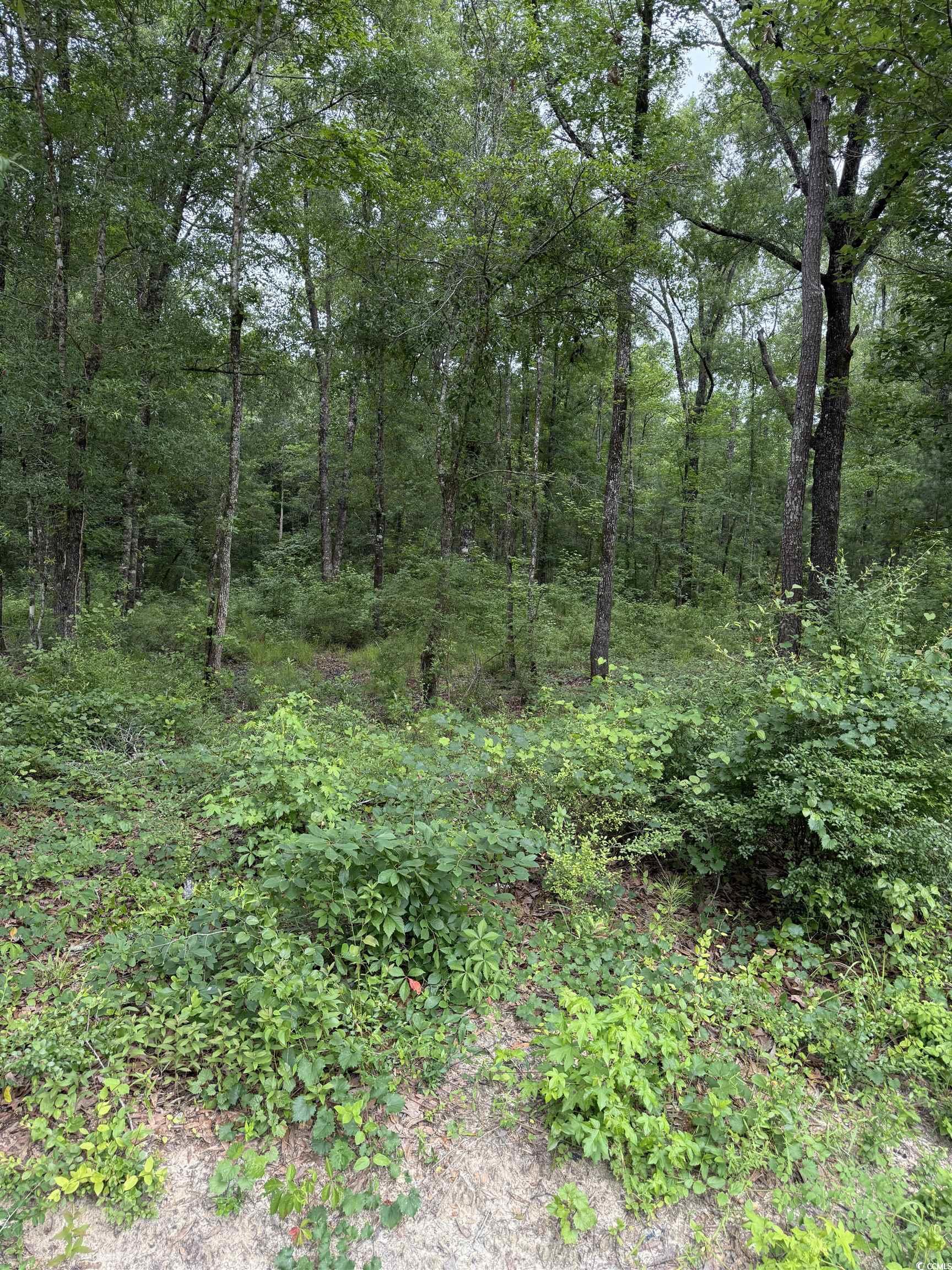 TBD Lot 20 Duck Island Rd Gresham, SC 29546