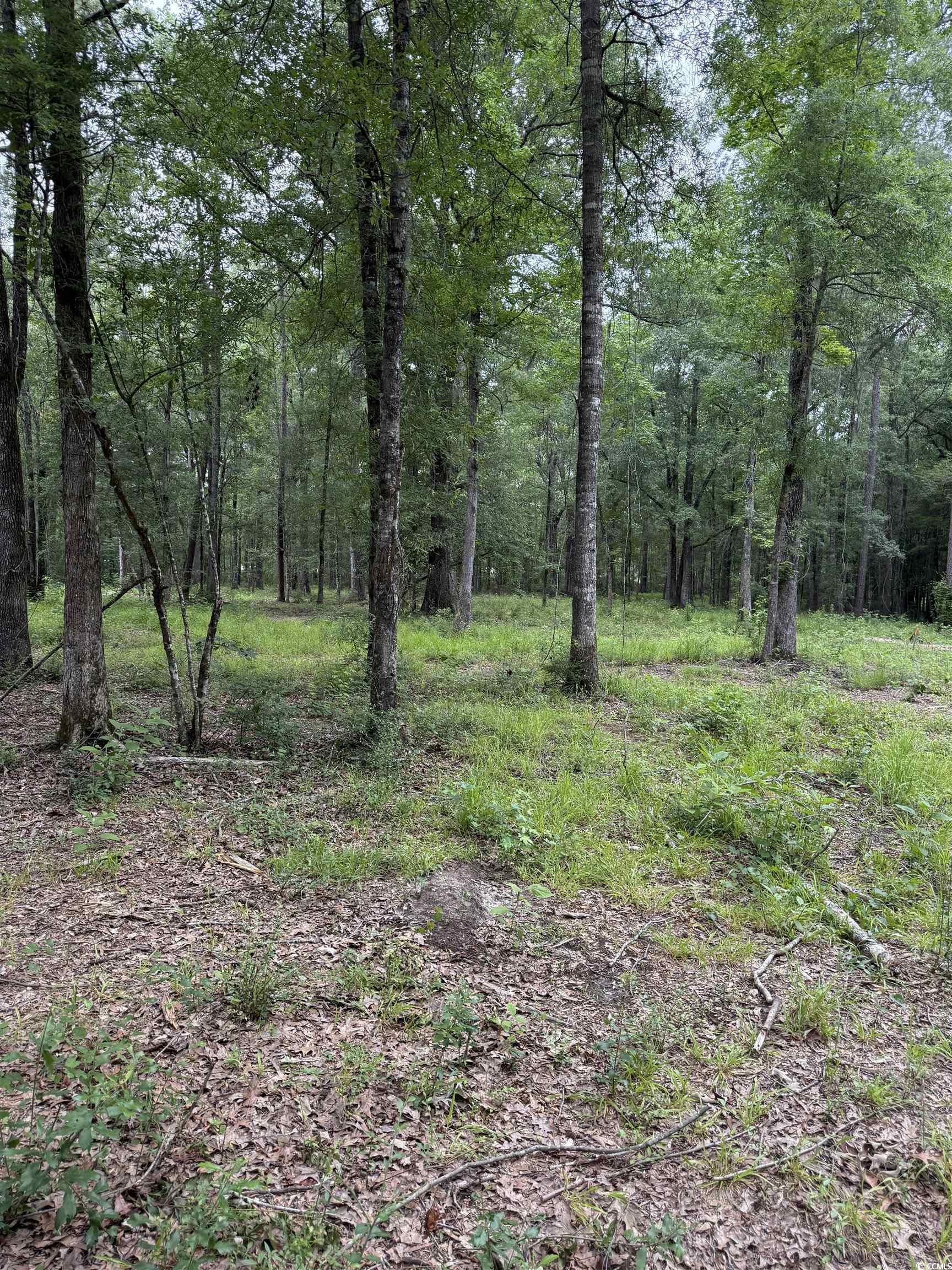TBD Lot 20 Duck Island Rd, Gresham, South Carolina image 4