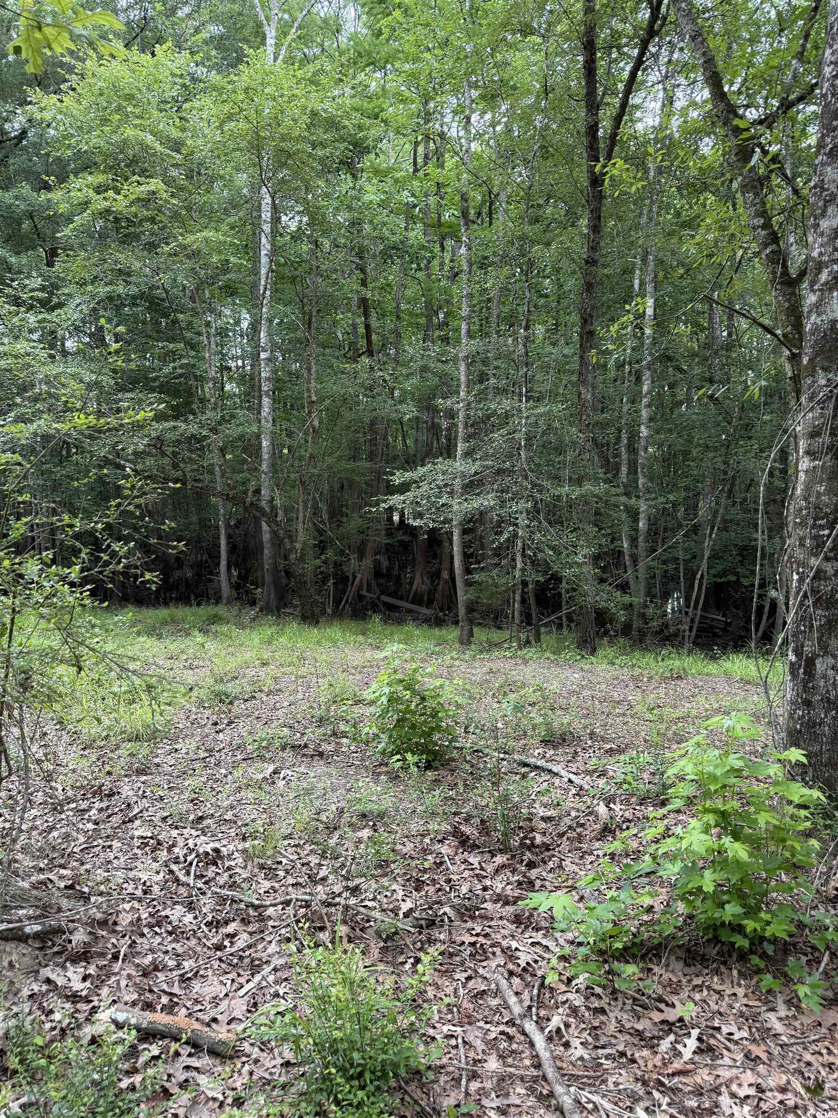 TBD Lot 20 Duck Island Rd, Gresham, South Carolina image 6