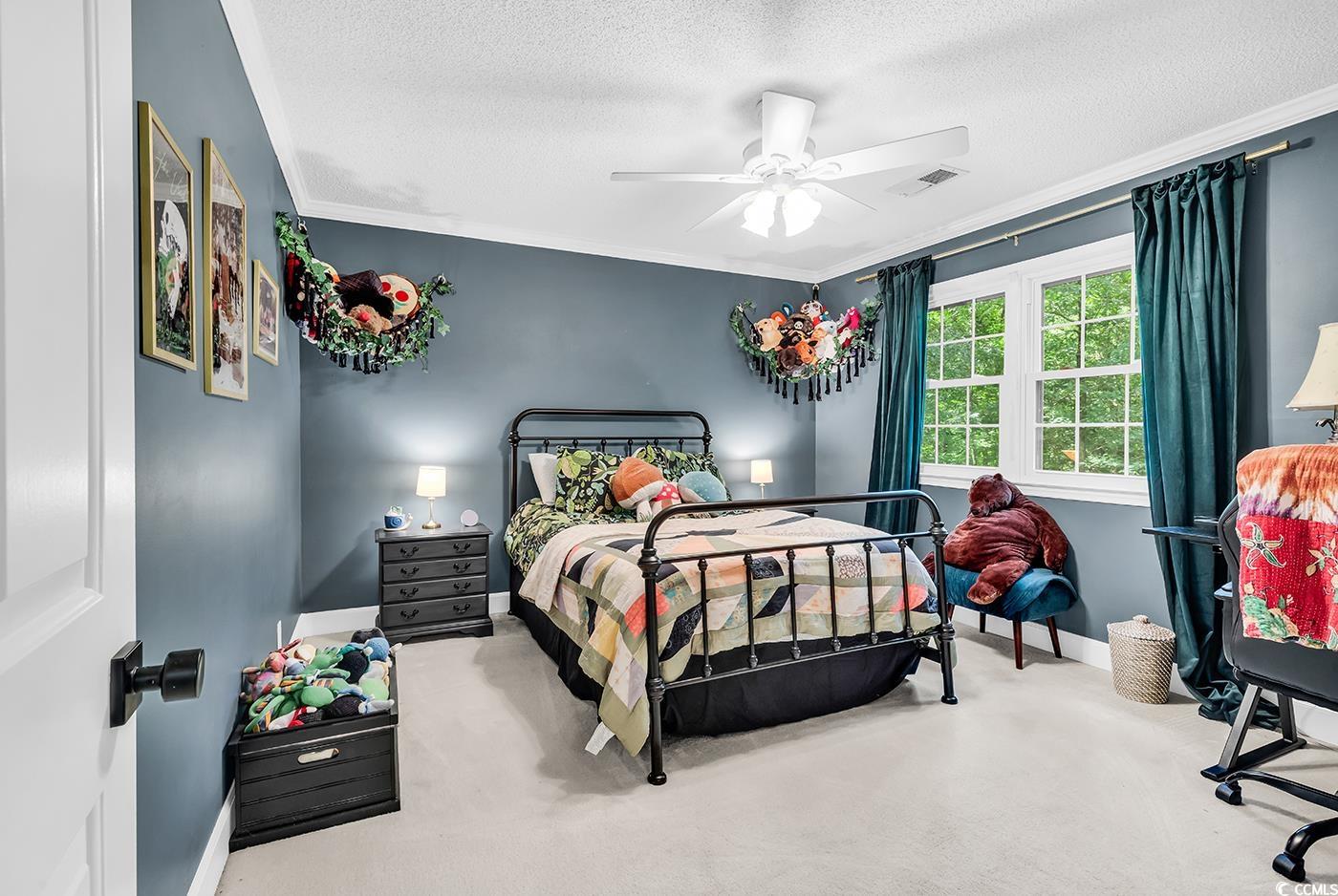 1072 Chelsey Circle, Conway, South Carolina image 21