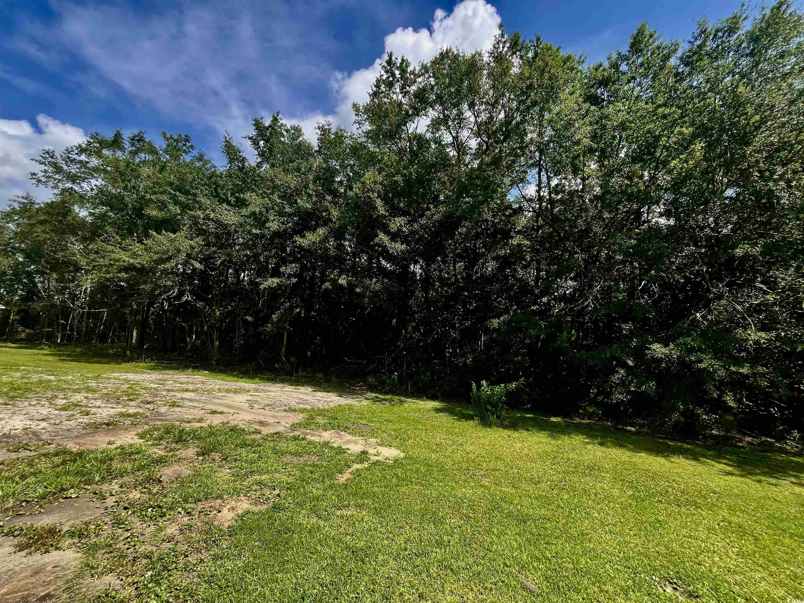 3353 Fries Bay Rd., Loris, South Carolina image 9