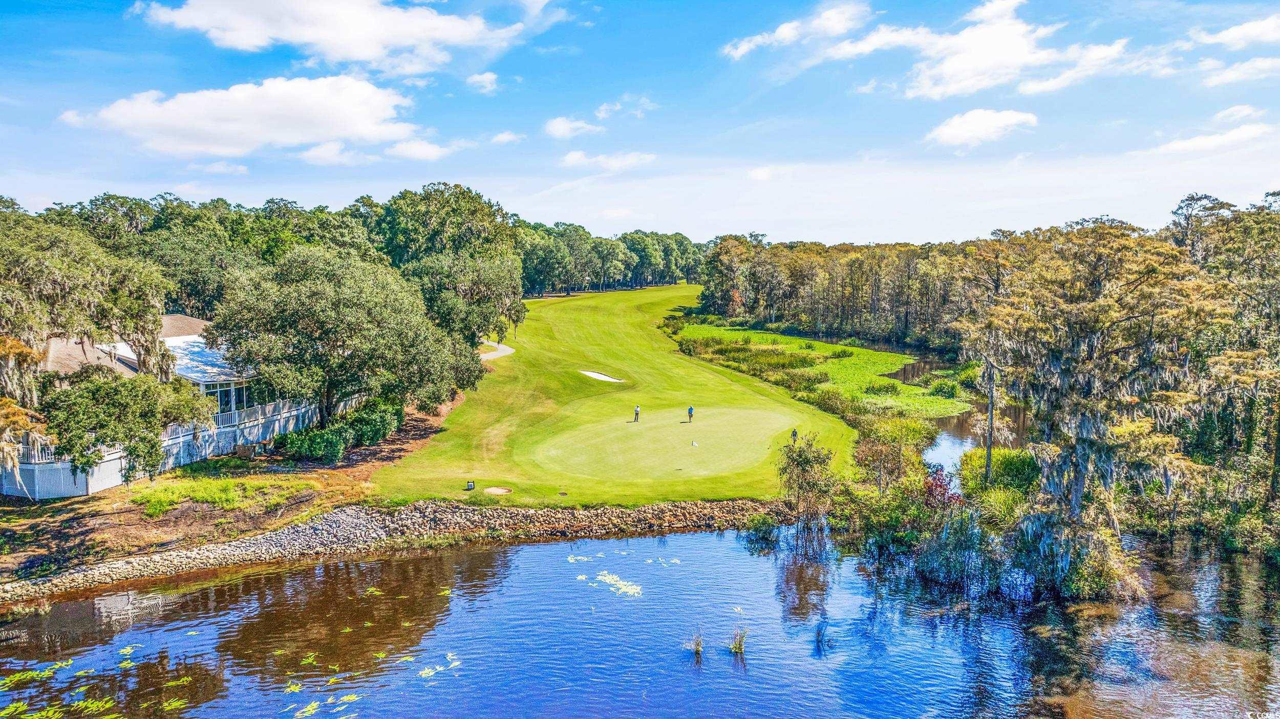 35 Easter Lilly Ct., Murrells Inlet, South Carolina image 34
