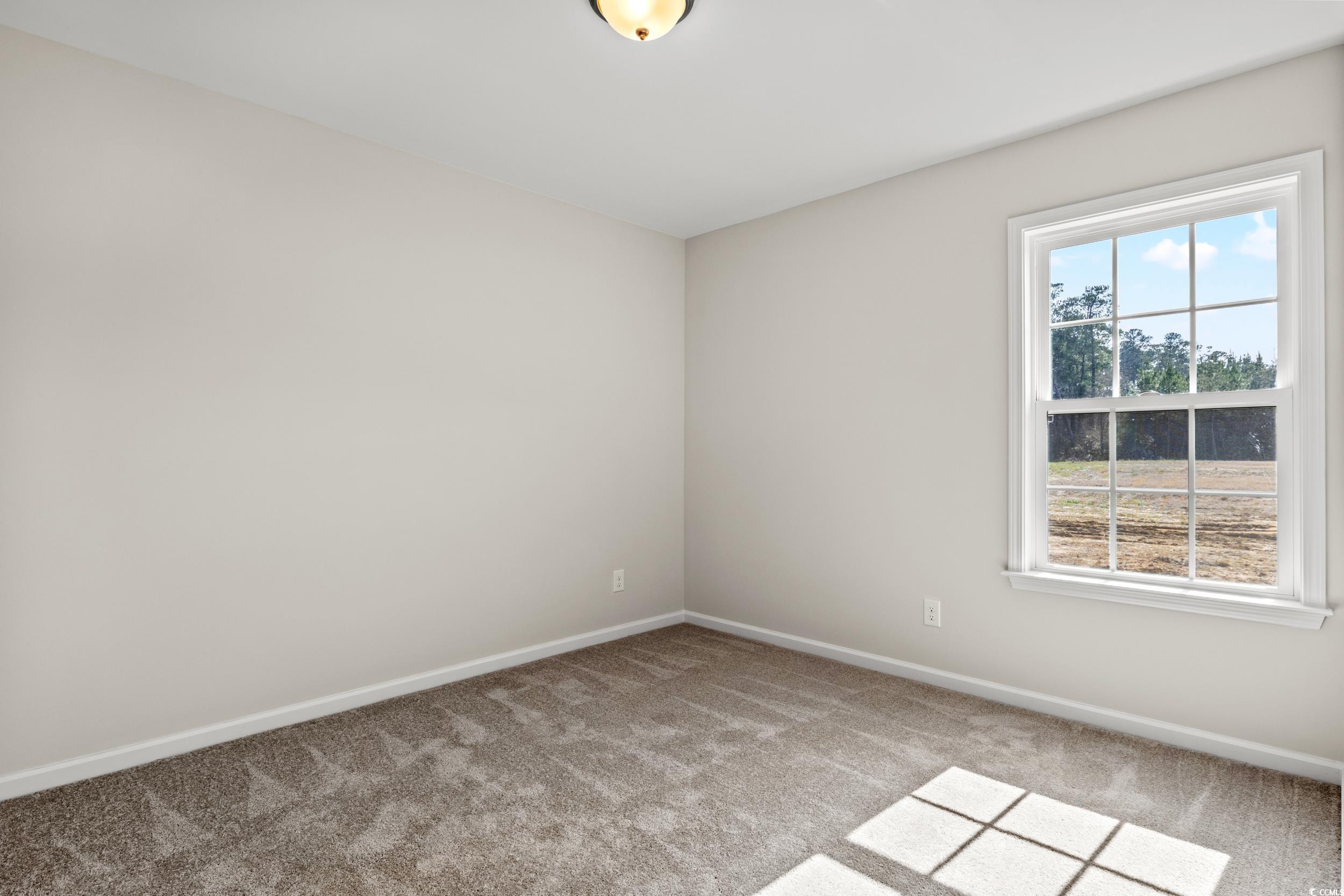 898 Owls Nest Dr., Conway, South Carolina image 12