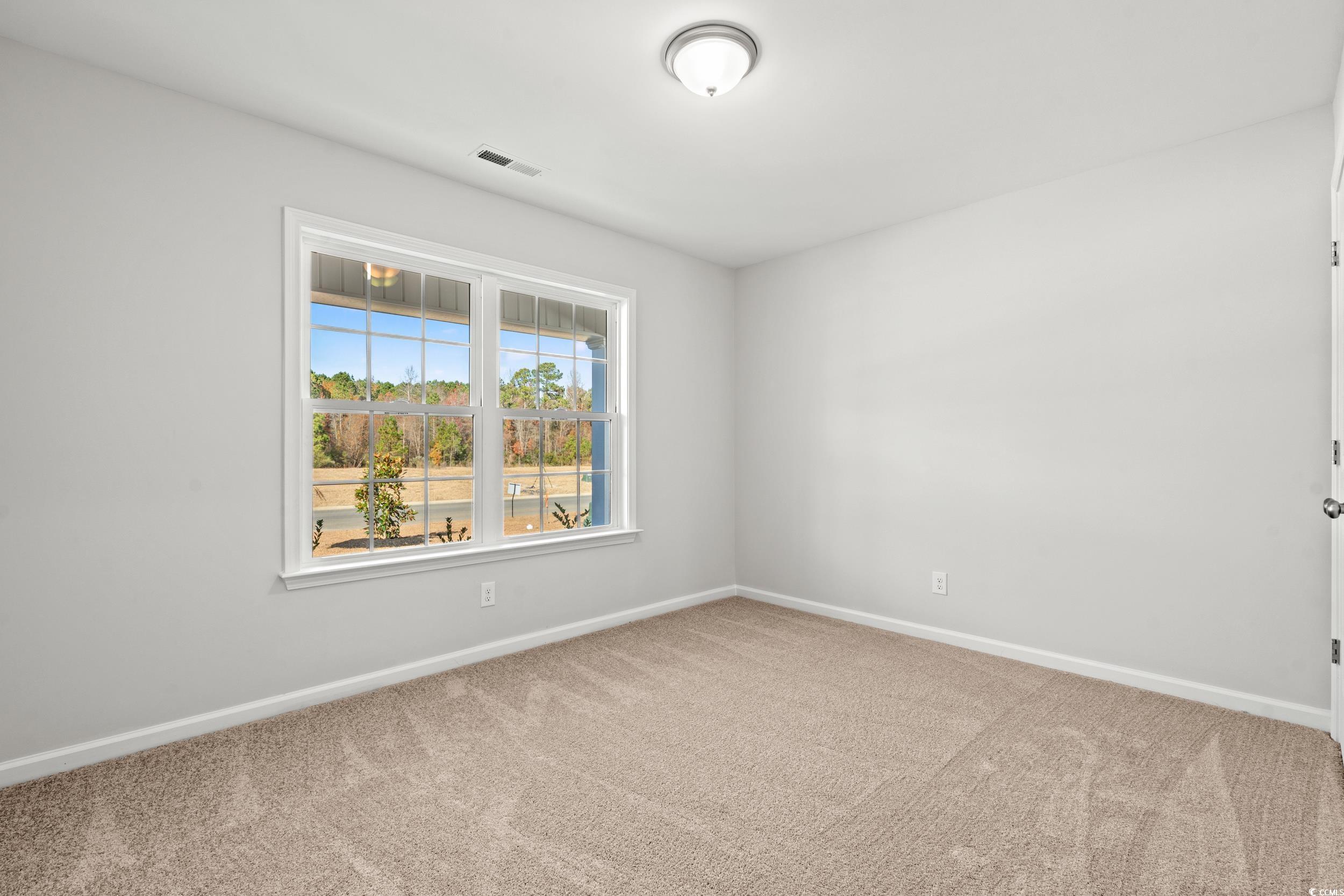 655 Snowy Owl Way, Conway, South Carolina image 2