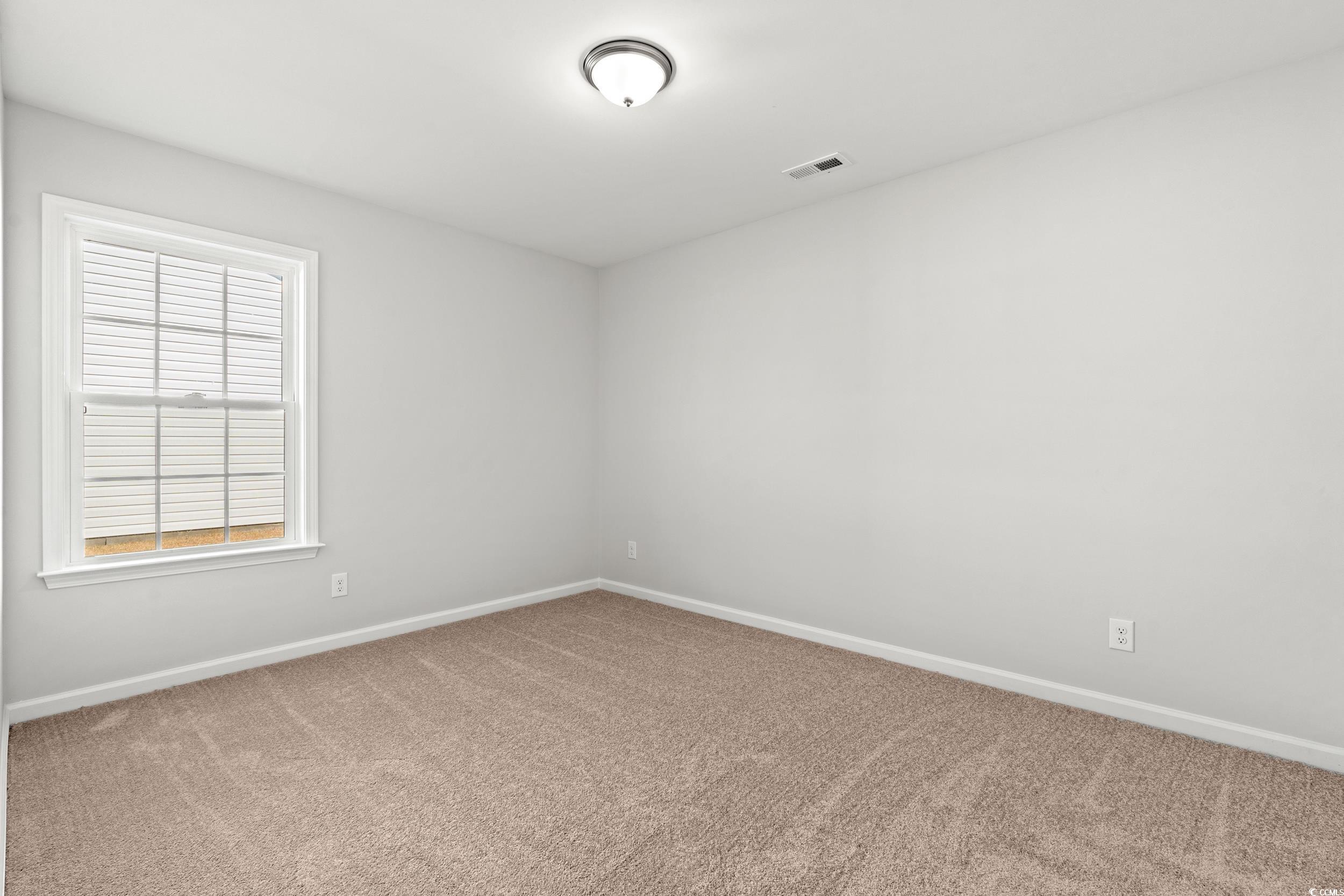 655 Snowy Owl Way, Conway, South Carolina image 4