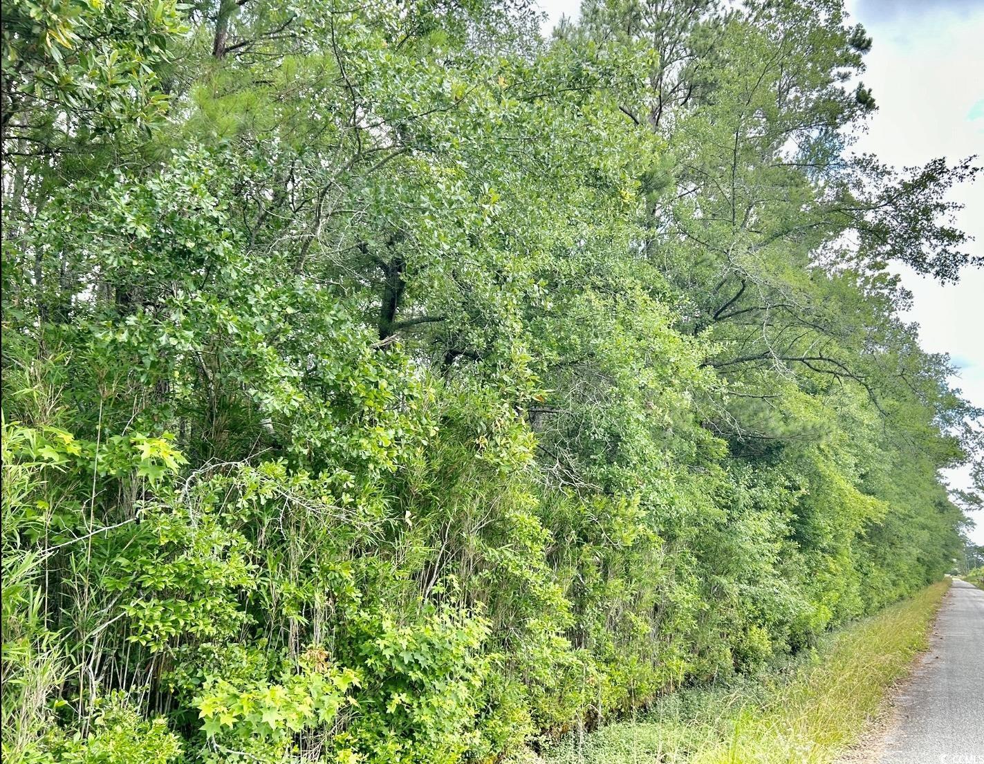 Fc Cox Rd., Hemingway, South Carolina image 8