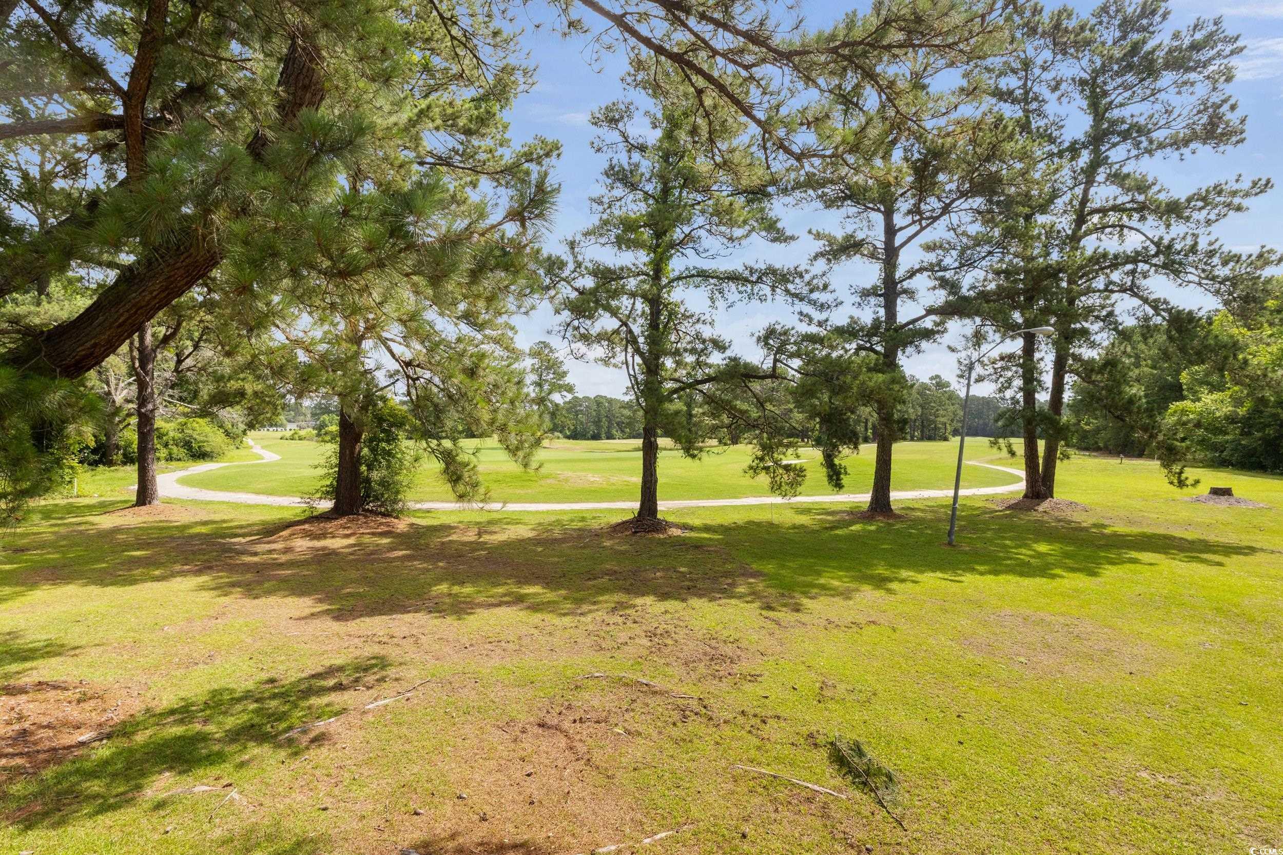 482 Greenview Dr. #5B, Johnsonville, South Carolina image 30