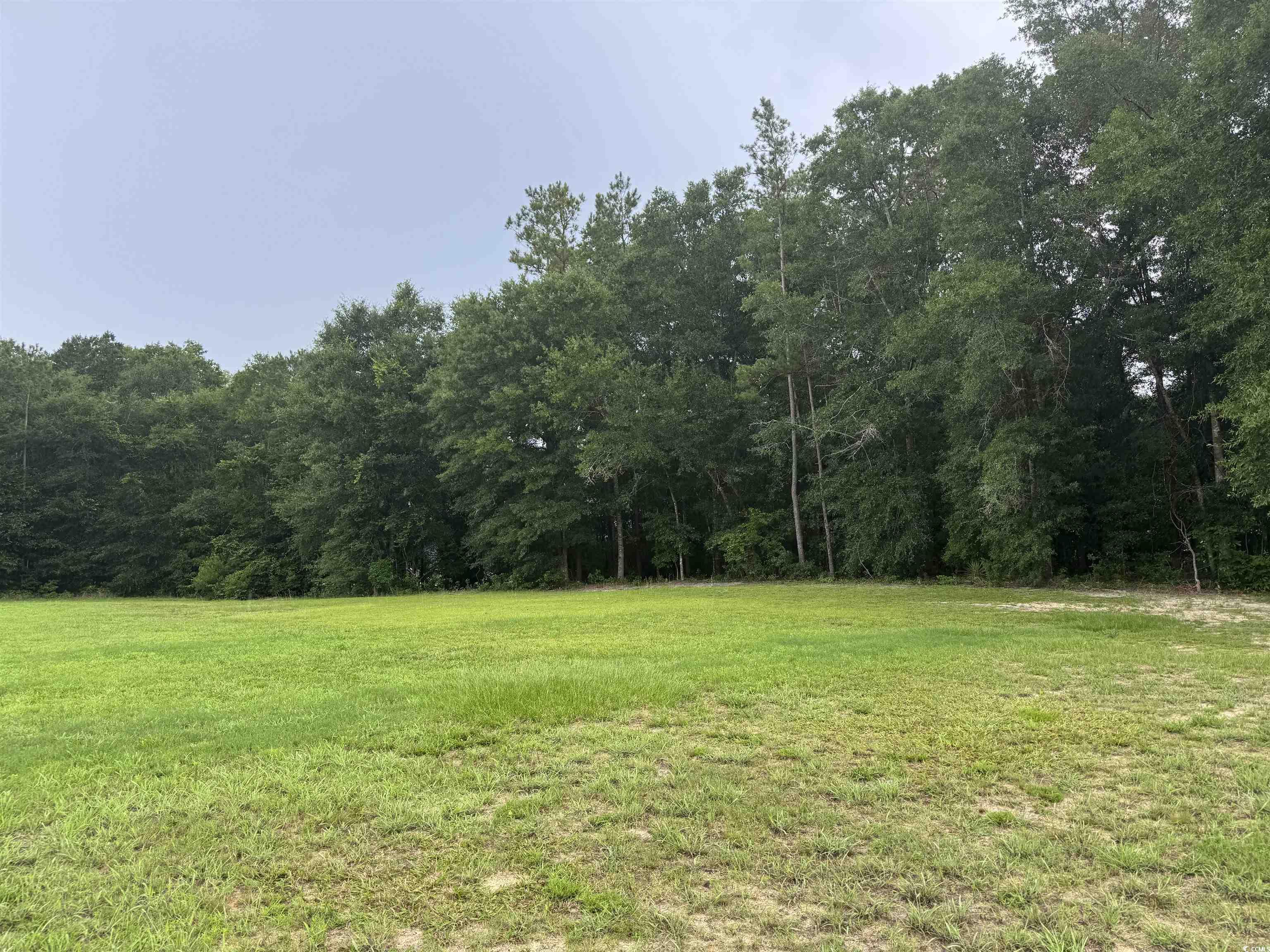 71 Mohican Dr., Georgetown, South Carolina image 2