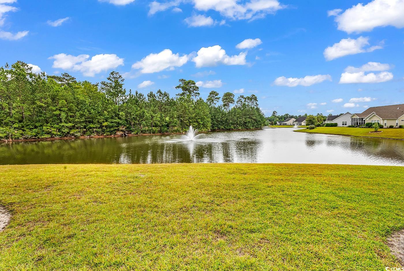 105 Willow Bay Dr., Murrells Inlet, South Carolina image 28