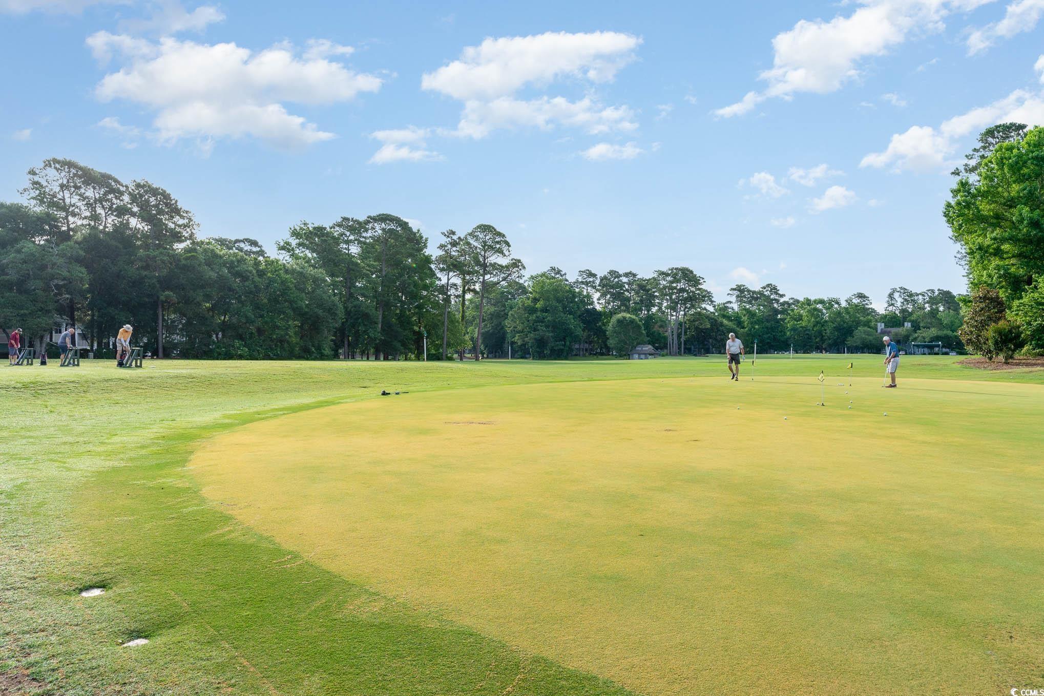 269 Chamberlin Rd., Myrtle Beach, South Carolina image 29