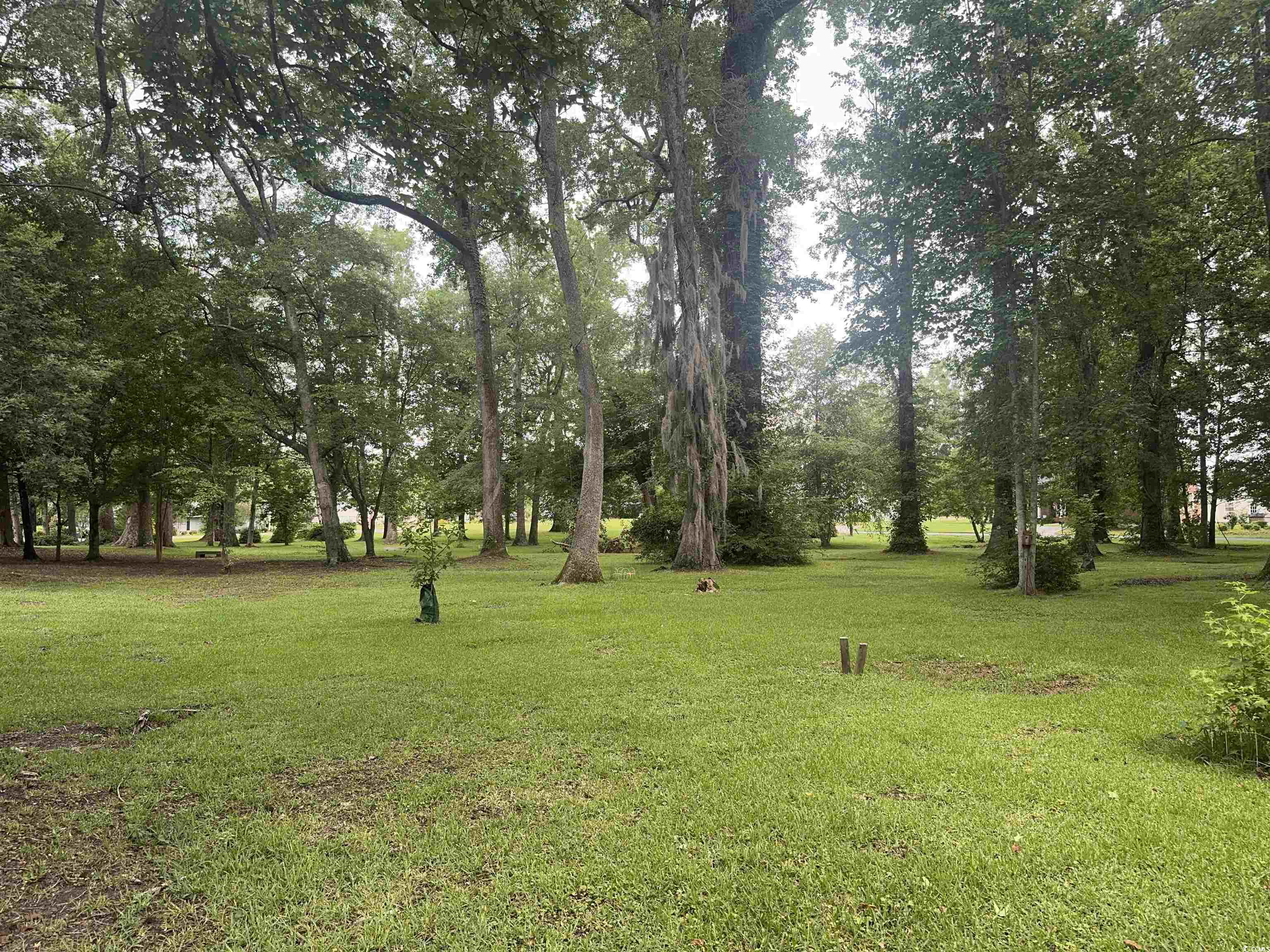 401 Harmon Park Blvd., Marion, South Carolina image 35