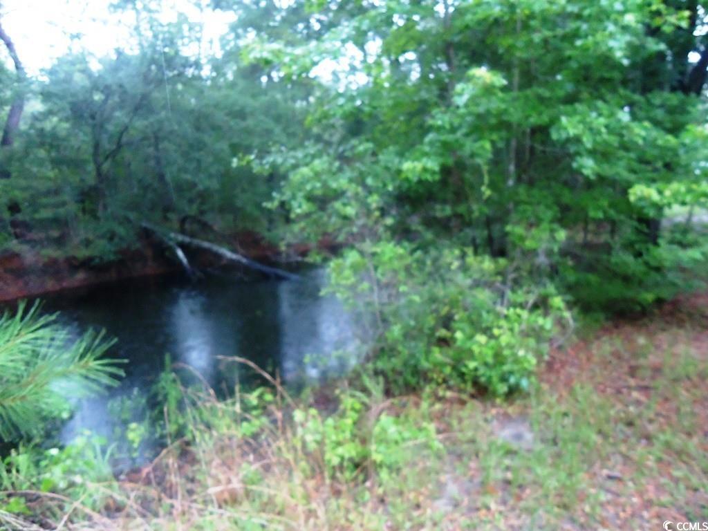 742 SE Hebron Dr., Conway, South Carolina image 8