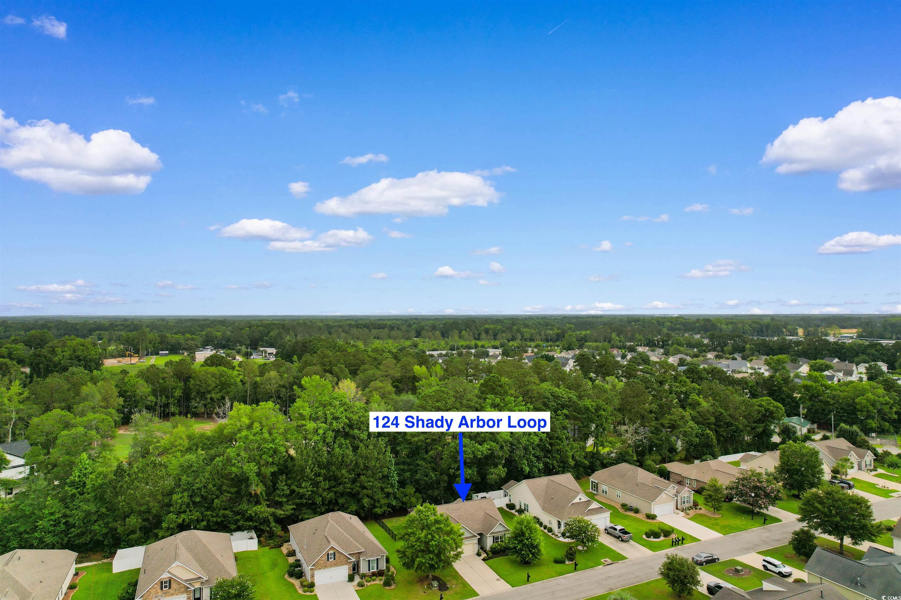124 Shady Arbor Loop, Longs, South Carolina image 33