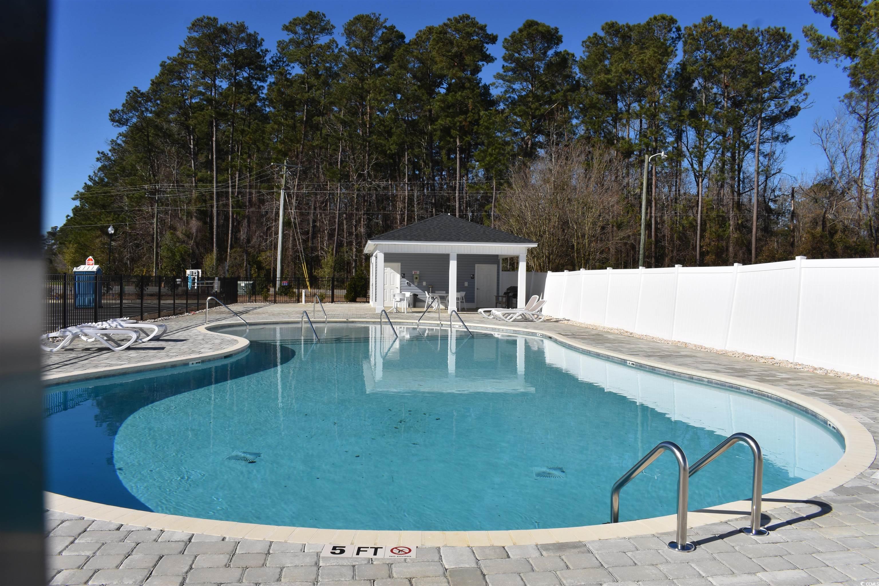 419 White Willow Way, Longs, South Carolina image 4