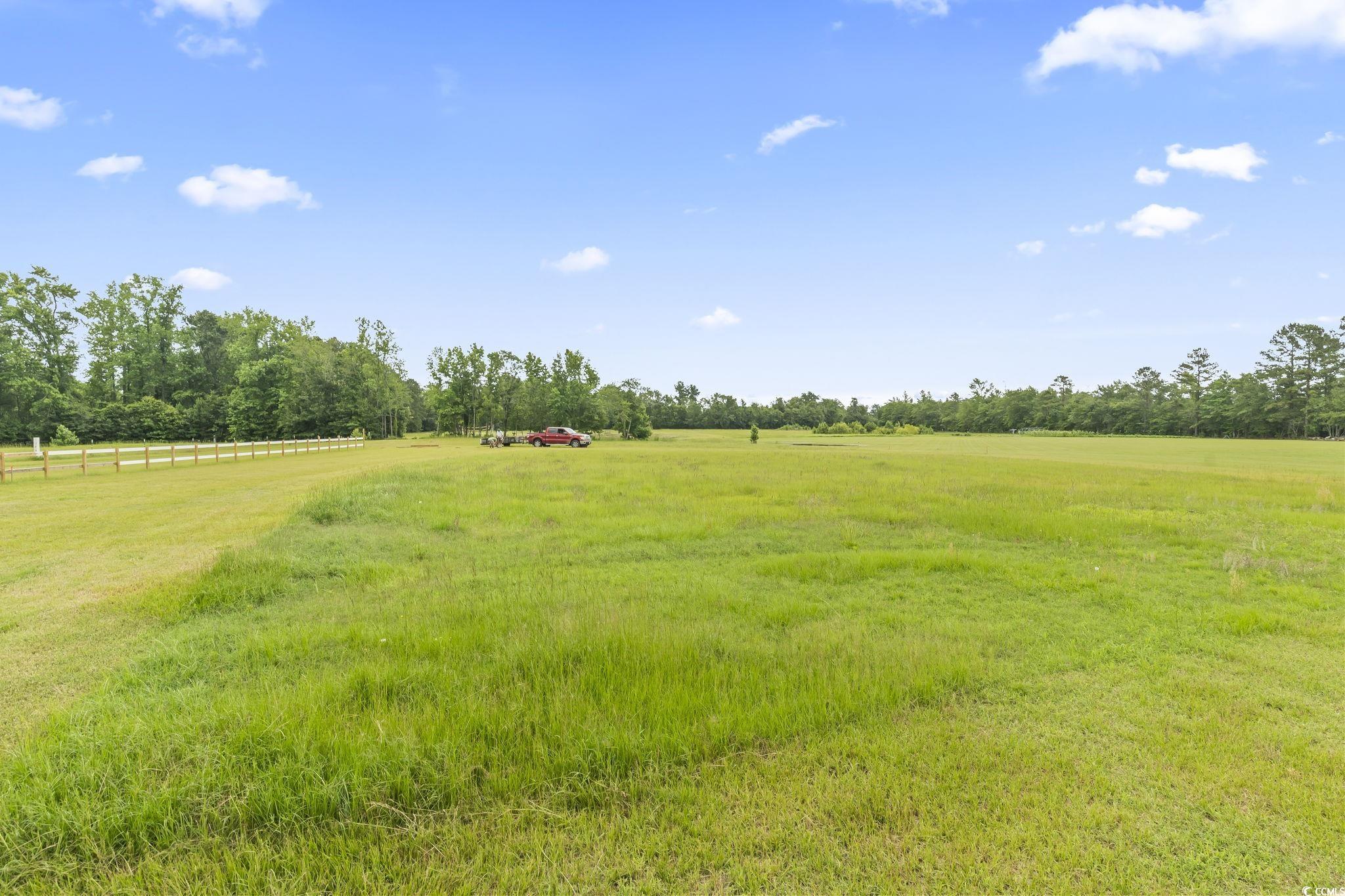 6608 Black Creek Rd., Nichols, South Carolina image 5