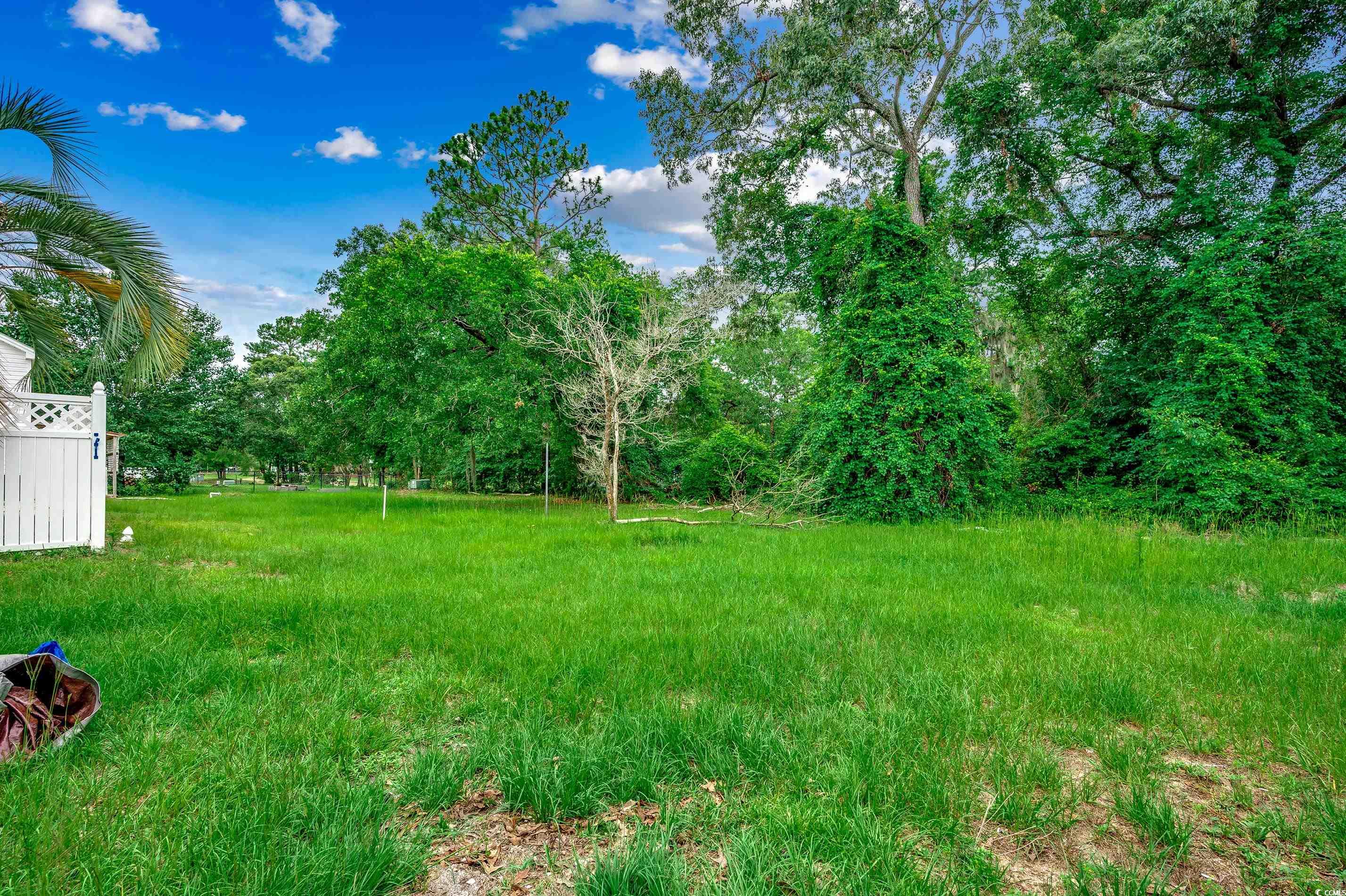 391 William Nobles Rd., Aynor, South Carolina image 32