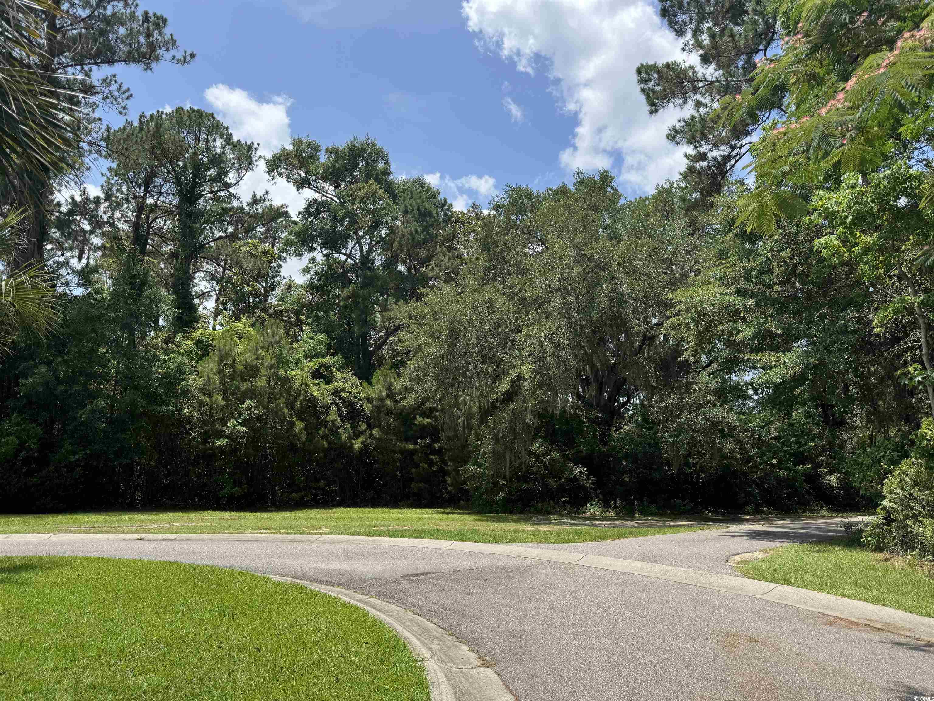 Lot 21 Oak Bay Dr., Georgetown, South Carolina image 1