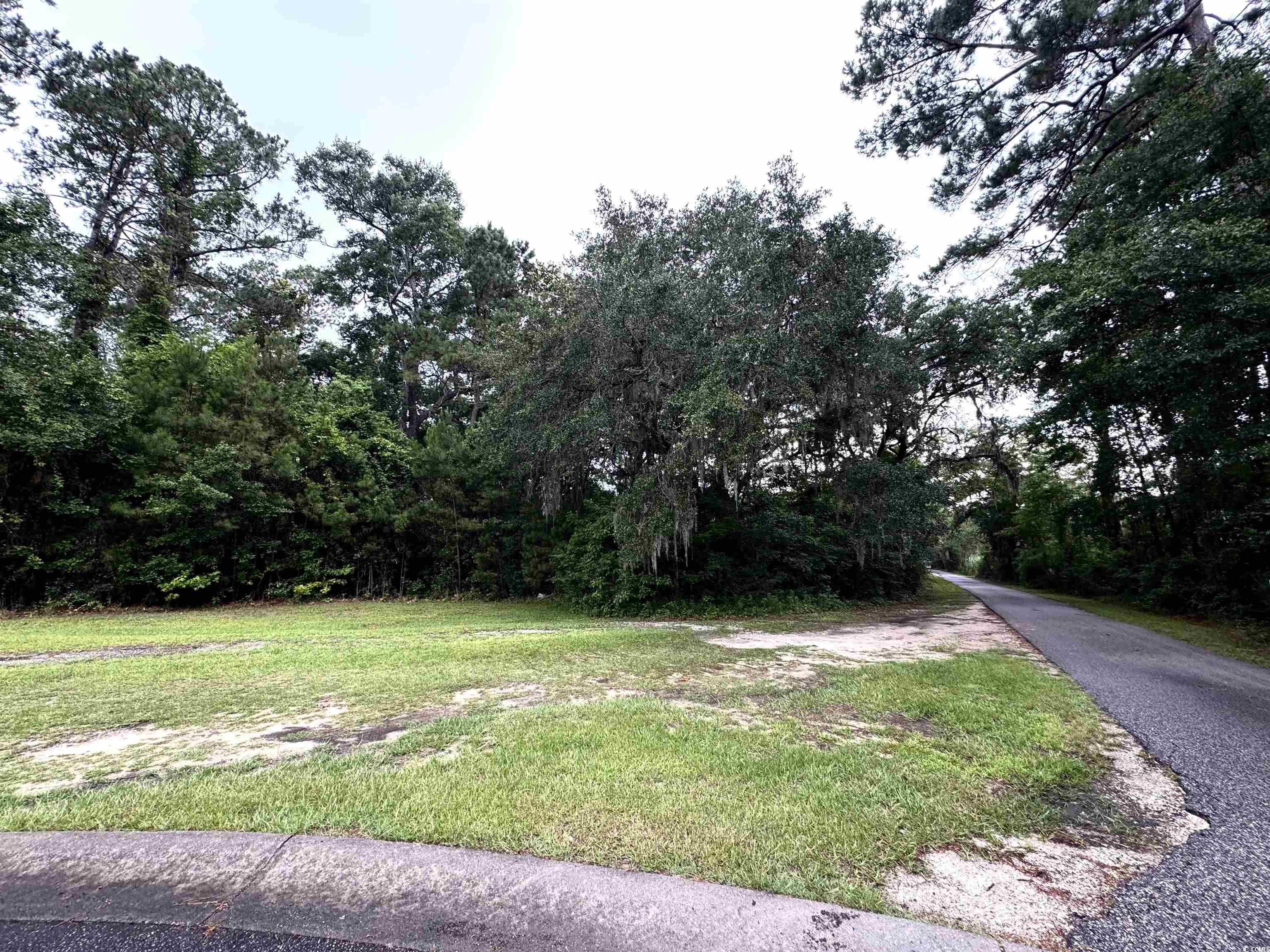 Lot 21 Oak Bay Dr., Georgetown, South Carolina image 3