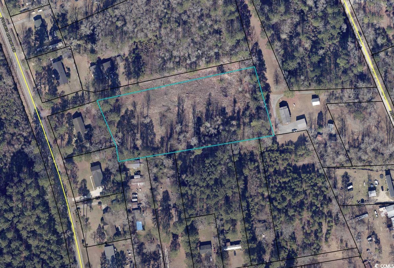 TBD Francis Marion Rd., Florence, South Carolina image 1