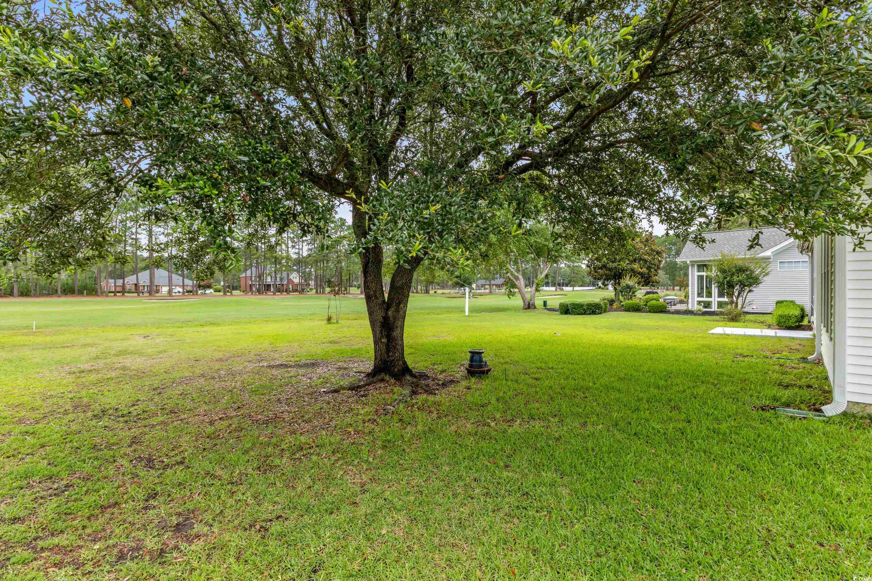 583 Wildflower Trail, Myrtle Beach, South Carolina image 20