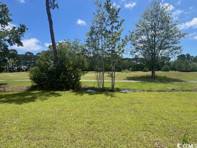 9728 Indigo Creek Blvd., Murrells Inlet, South Carolina image 7