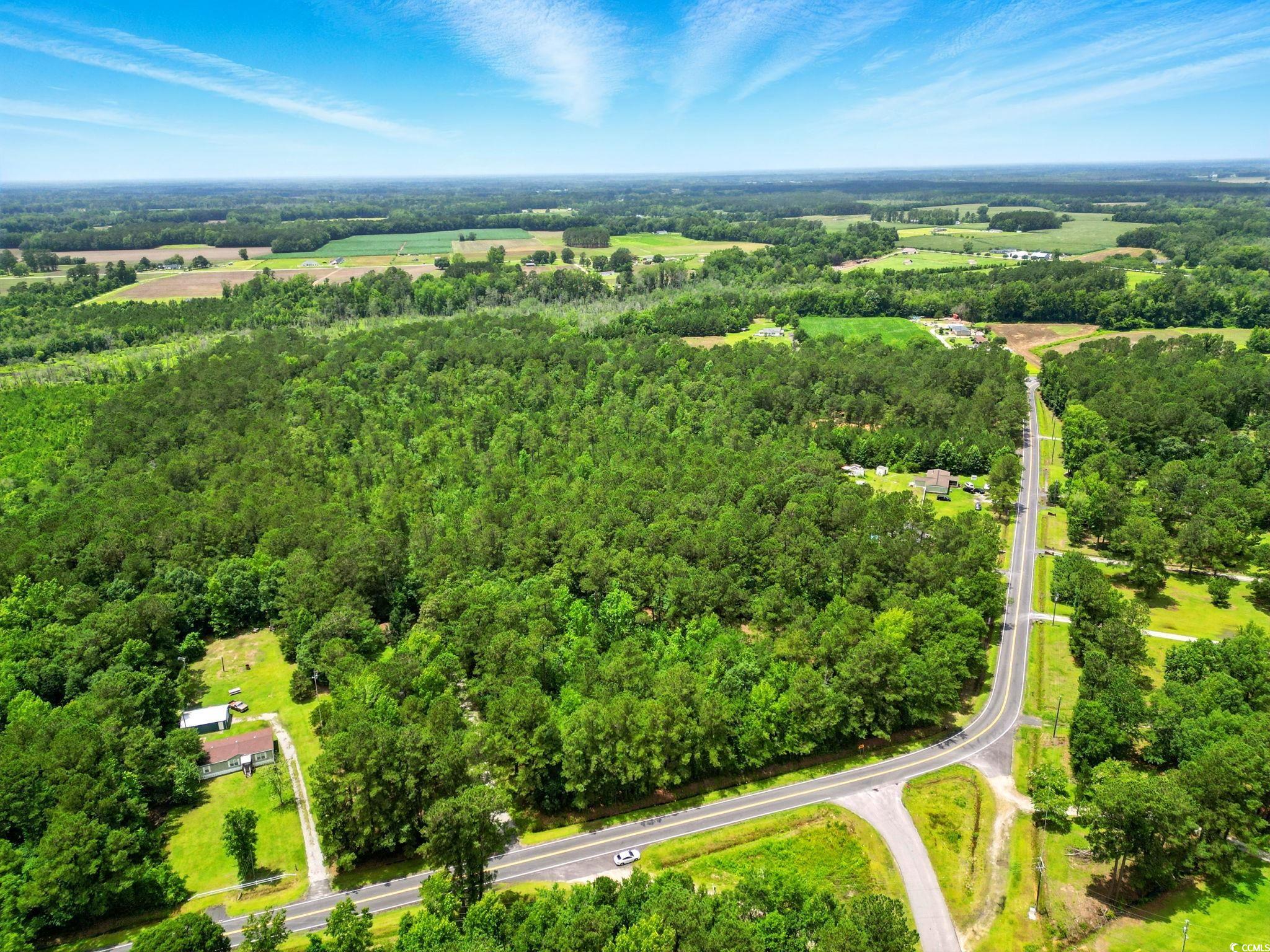 TBD Little Bethel Rd., Green Sea, South Carolina image 1
